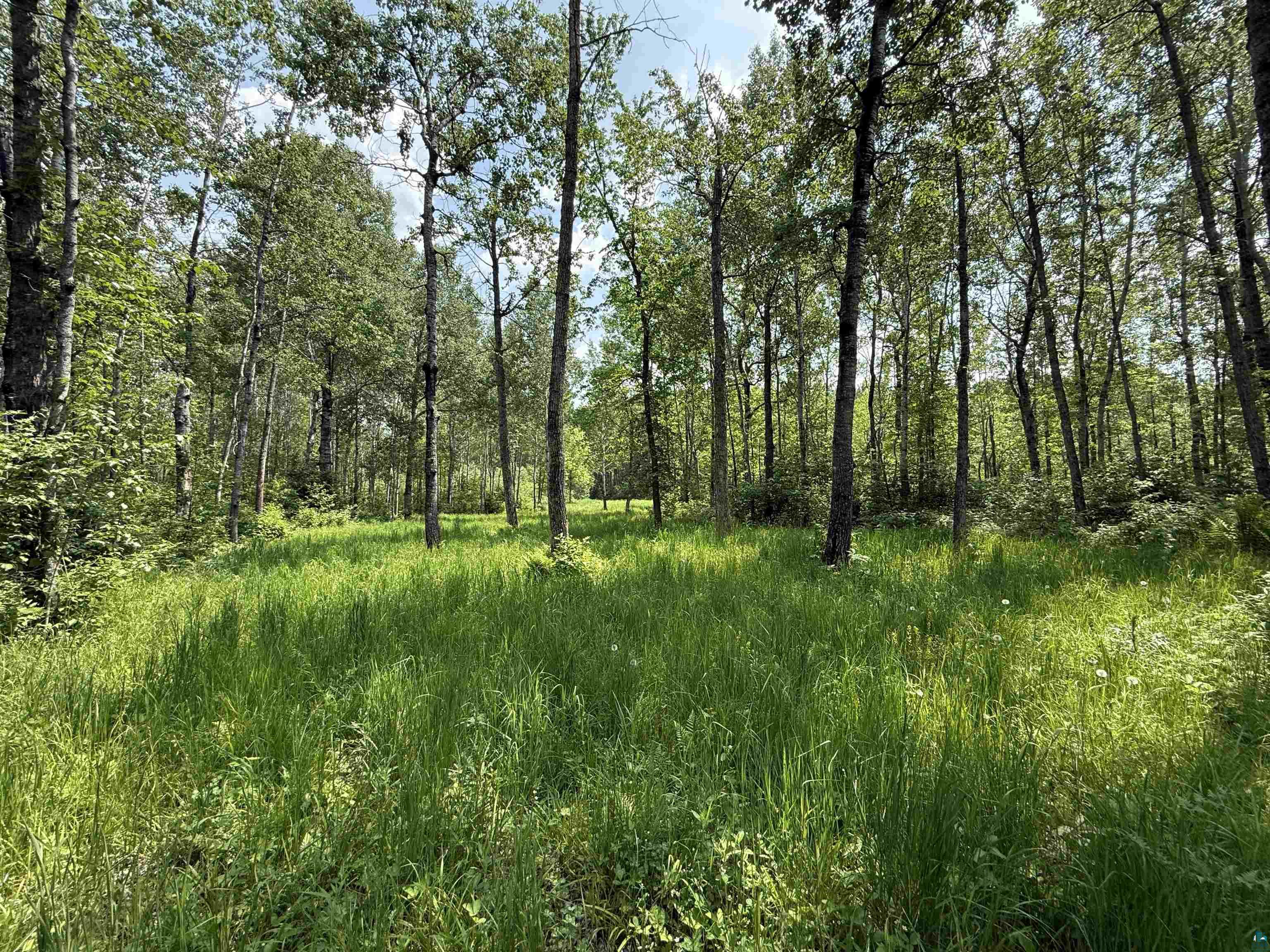 TBD Samuelson Rd Angora MN 55703 6118244 image25