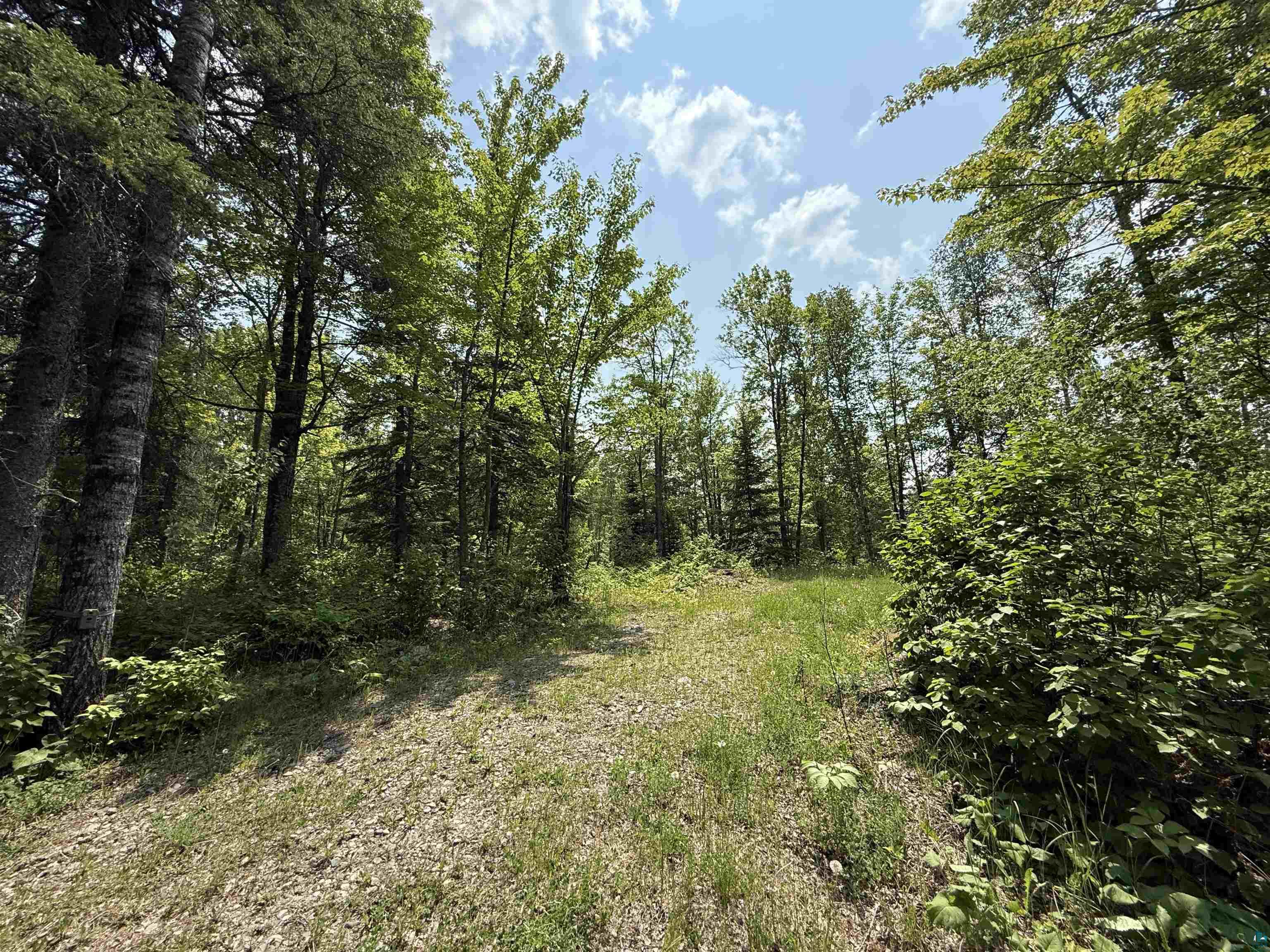 TBD Samuelson Rd Angora MN 55703 6118244 image27