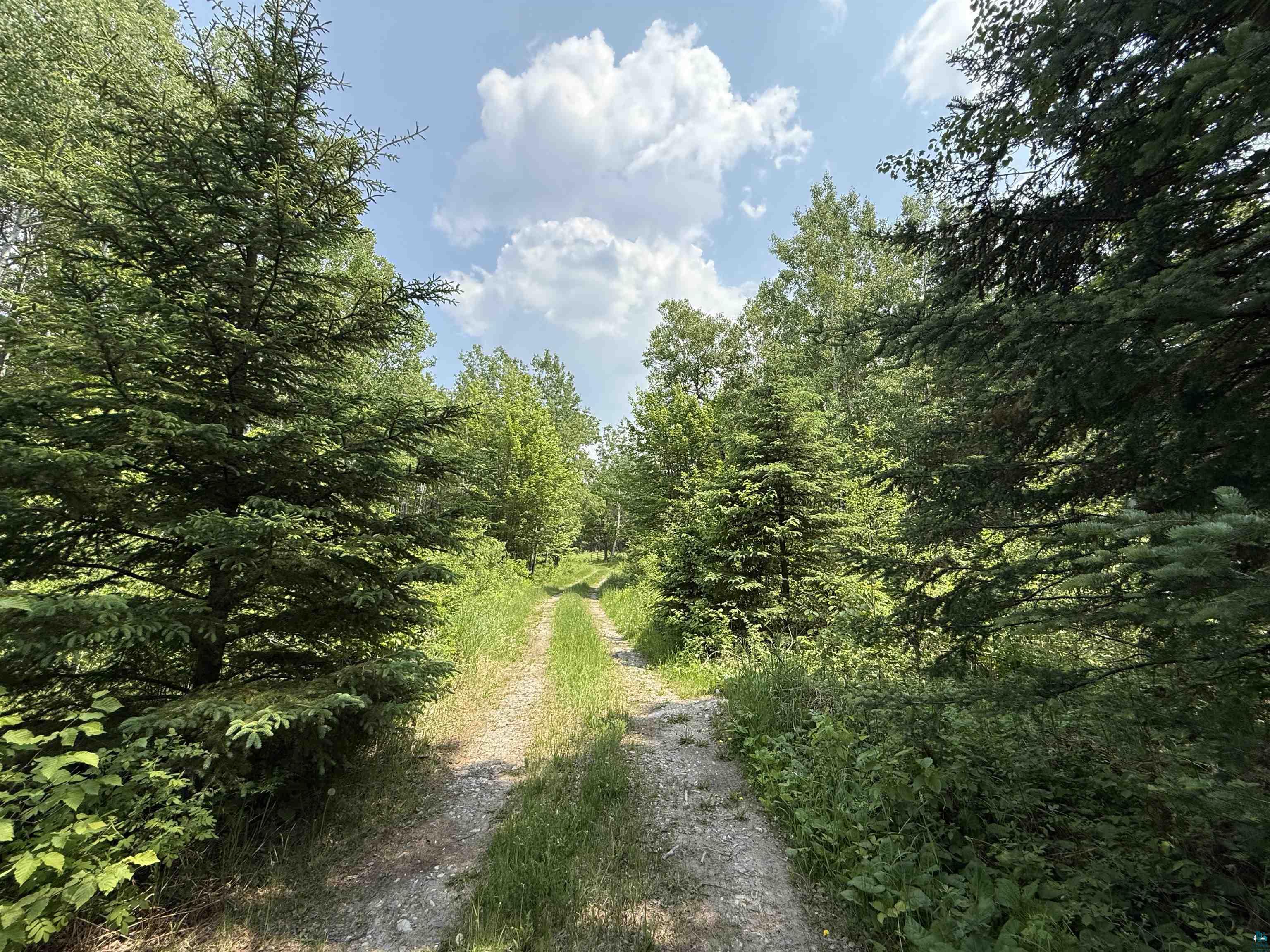 TBD Samuelson Rd Angora MN 55703 6118244 image28