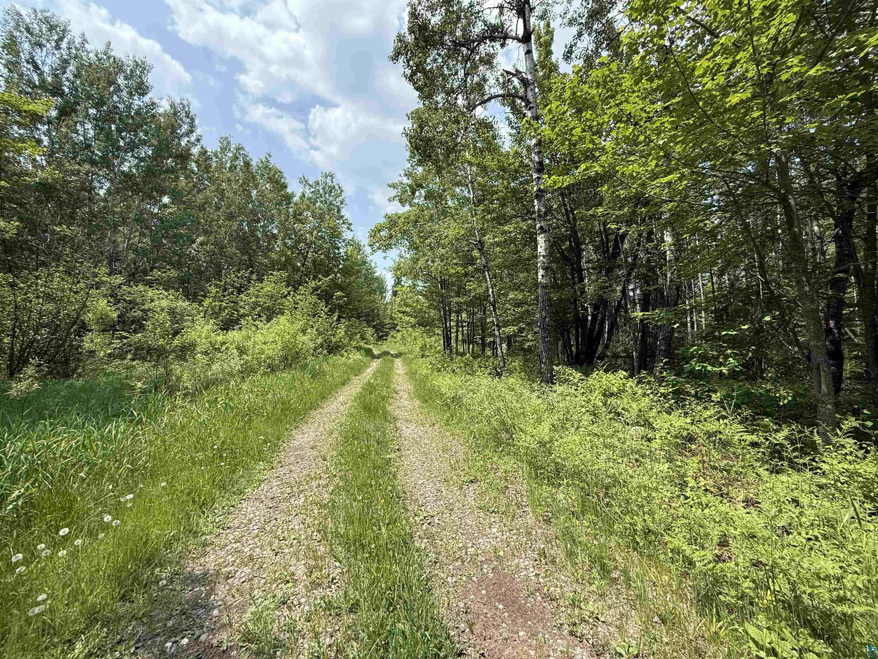 TBD Samuelson Rd Angora MN 55703 6118244 image3