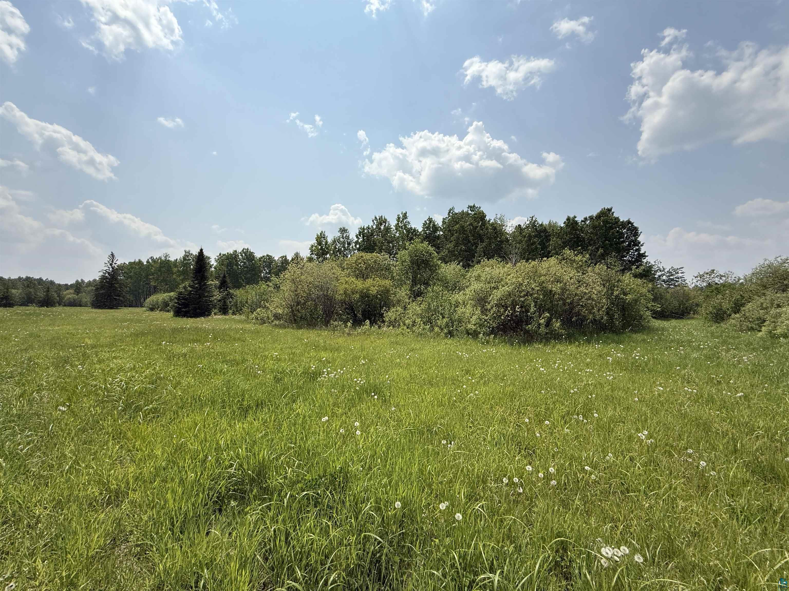 TBD Samuelson Rd Angora MN 55703 6118244 image30