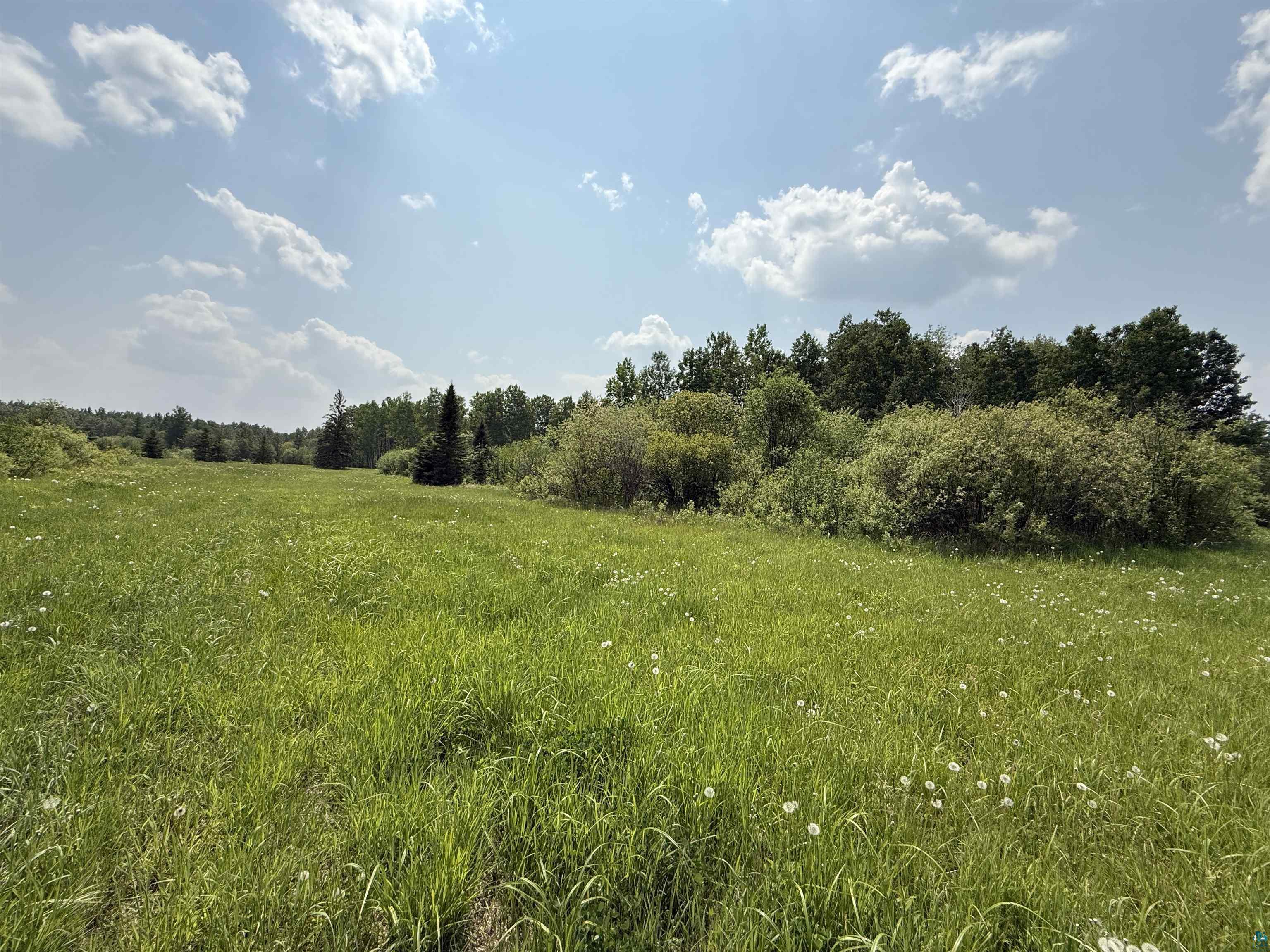 TBD Samuelson Rd Angora MN 55703 6118244 image31