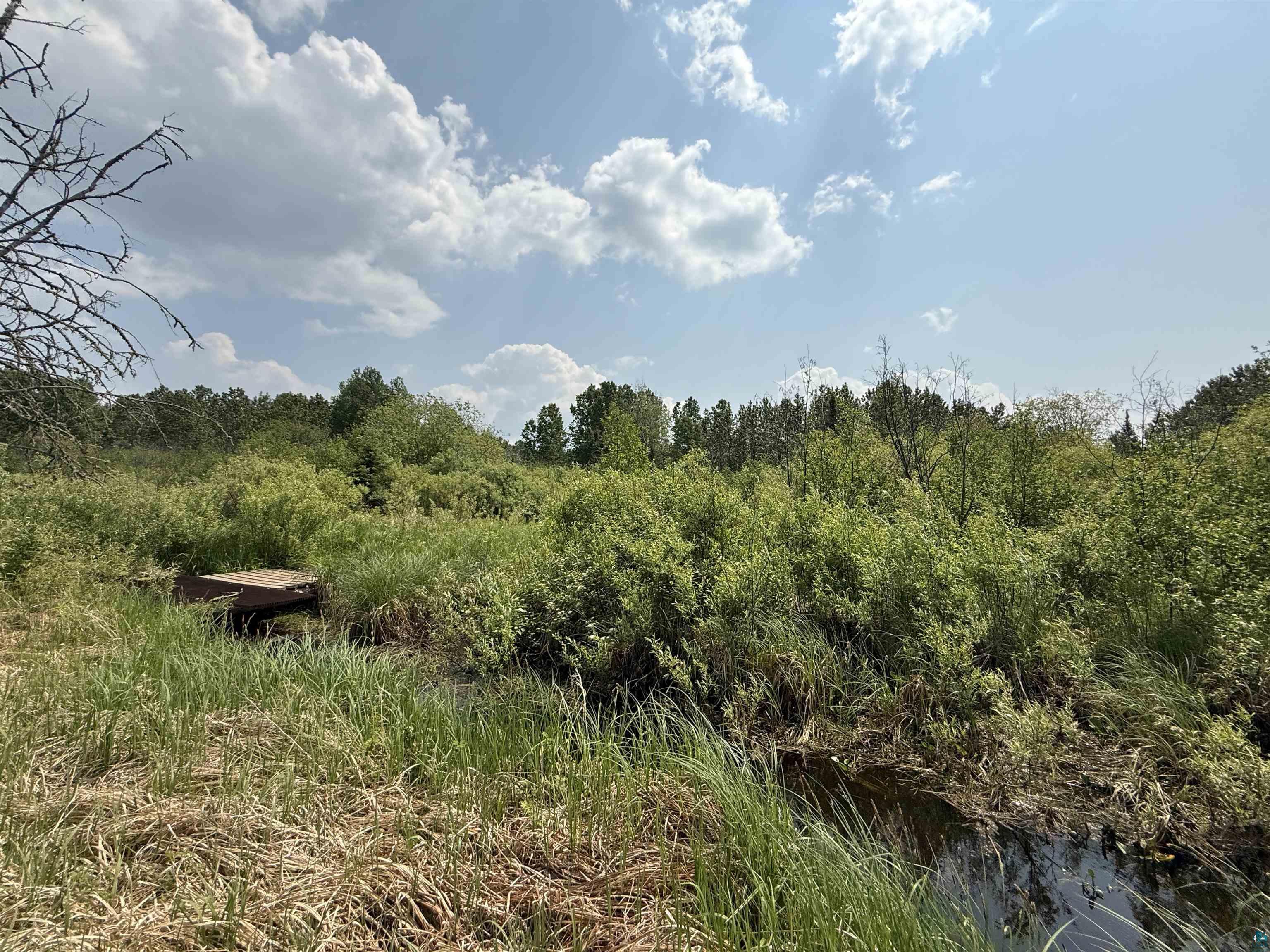 TBD Samuelson Rd Angora MN 55703 6118244 image36