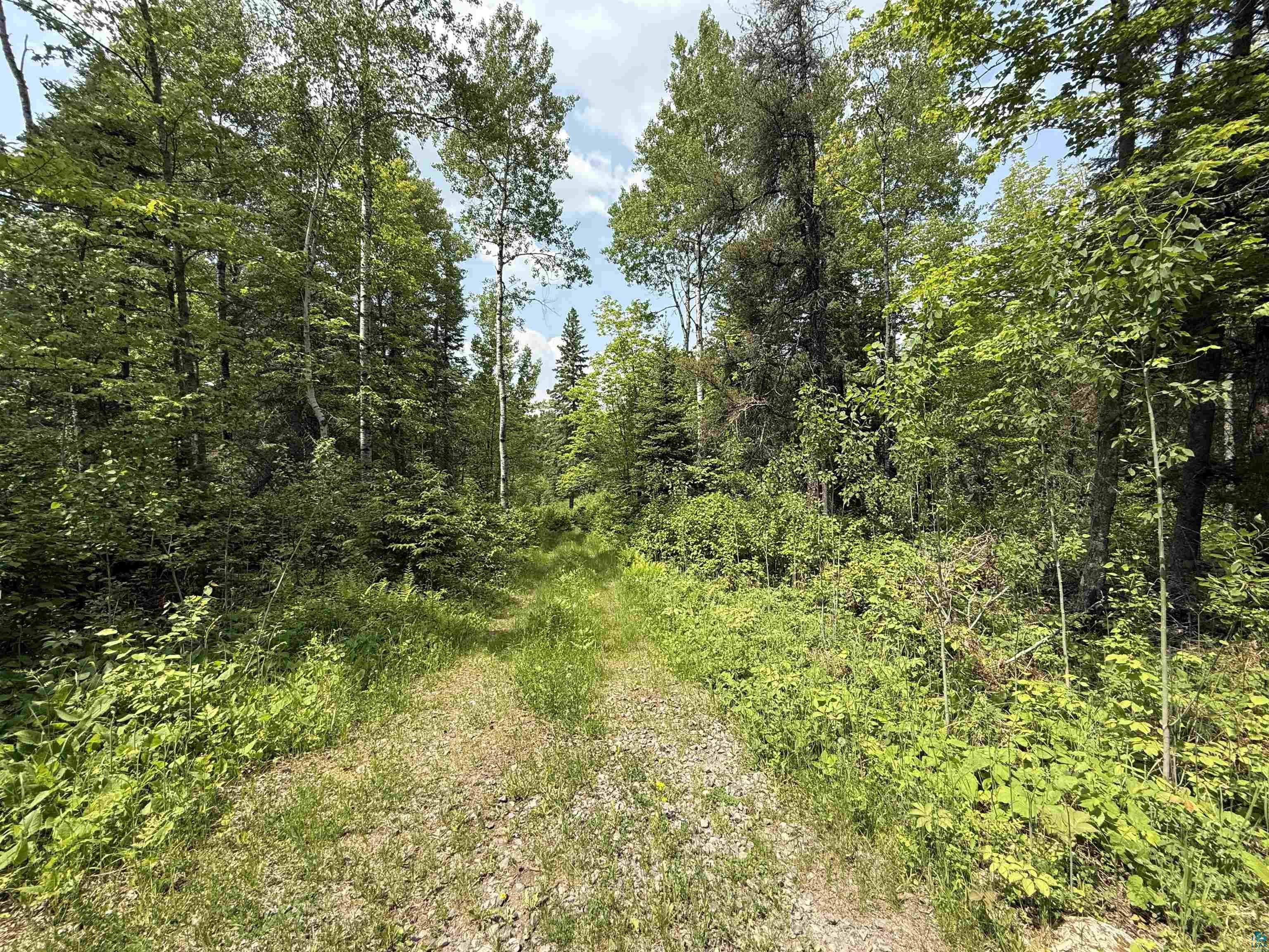 TBD Samuelson Rd Angora MN 55703 6118244 image4