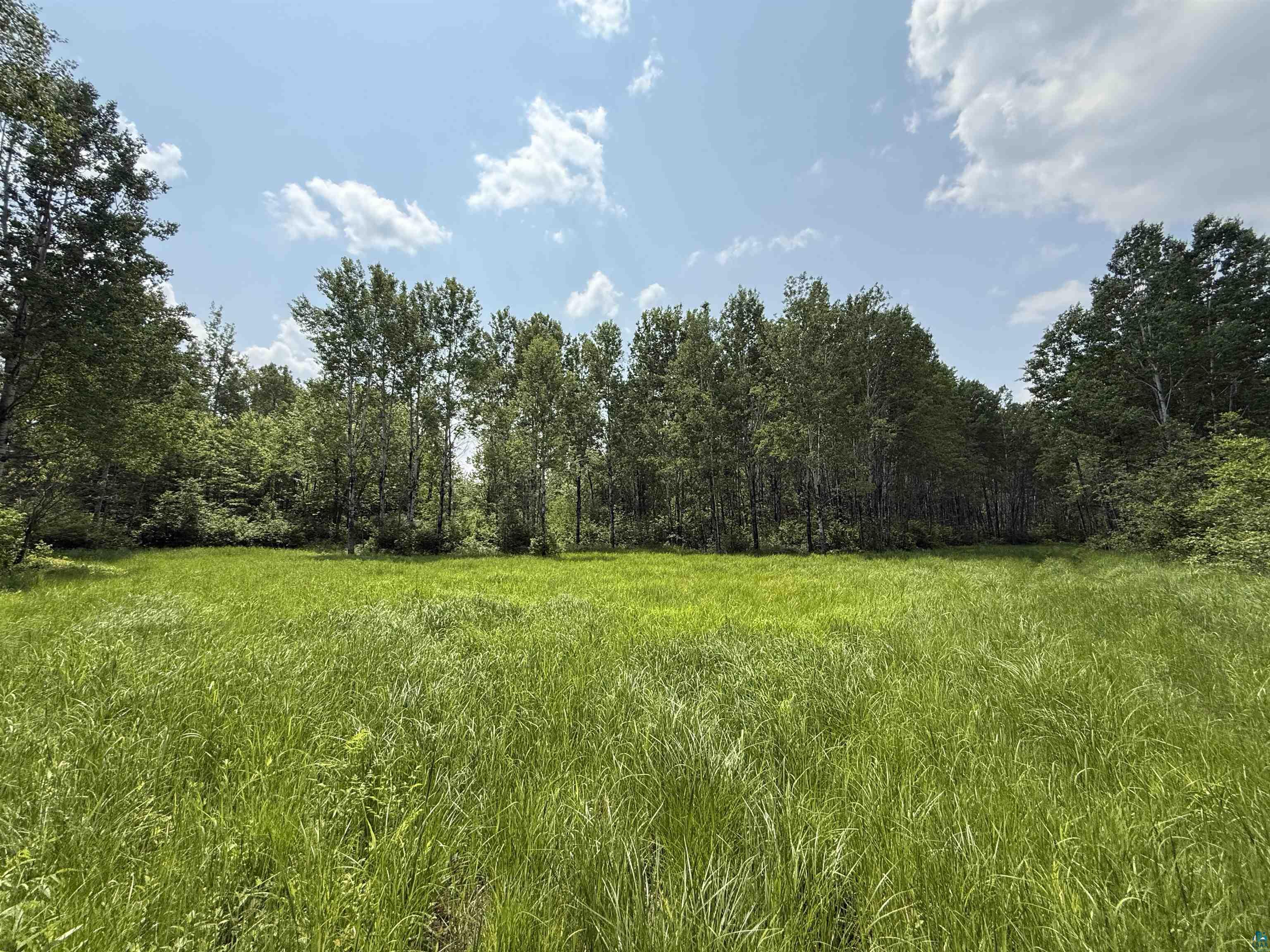 TBD Samuelson Rd Angora MN 55703 6118244 image7