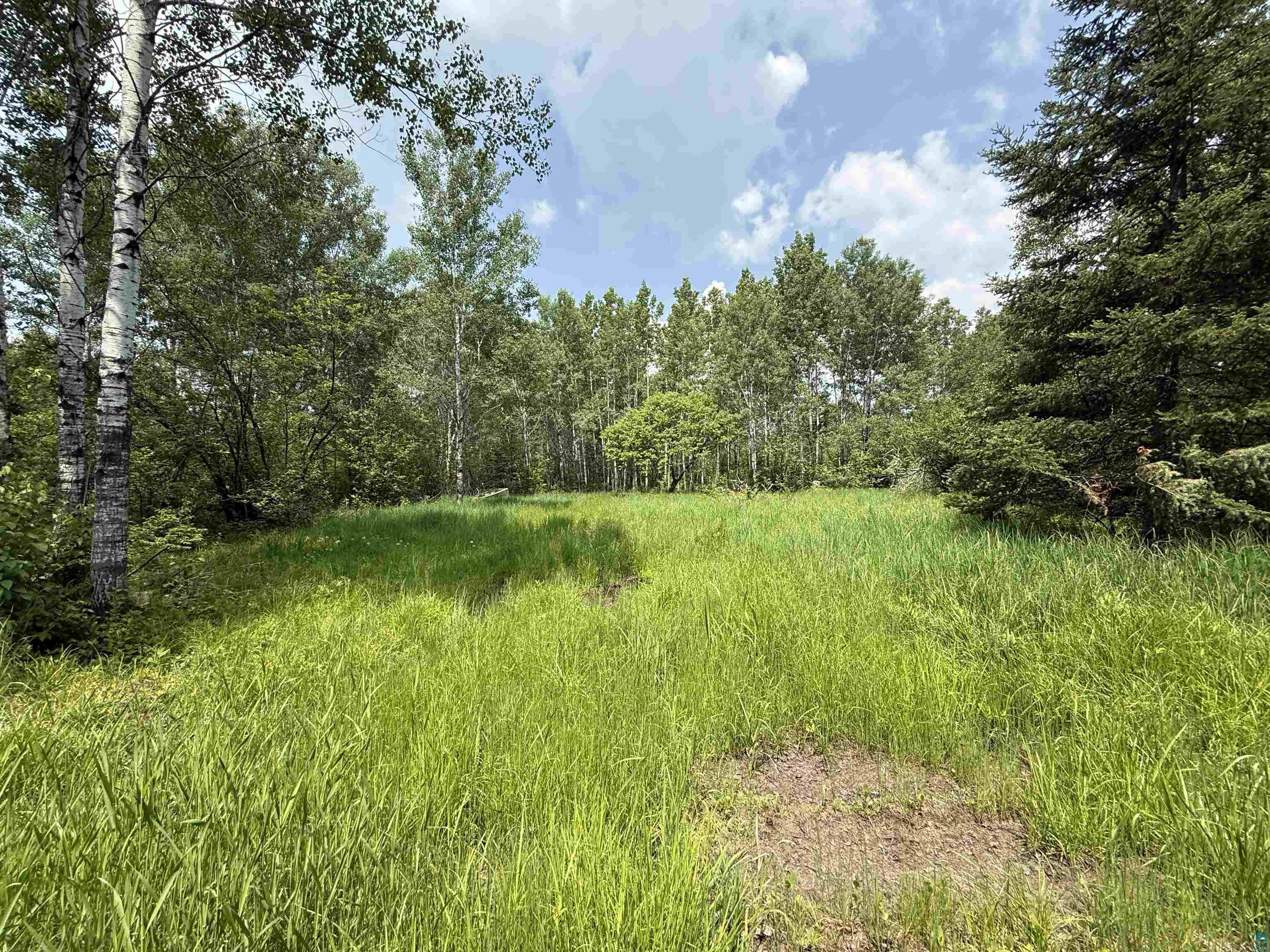 TBD Samuelson Rd Angora MN 55703 6118244 image8