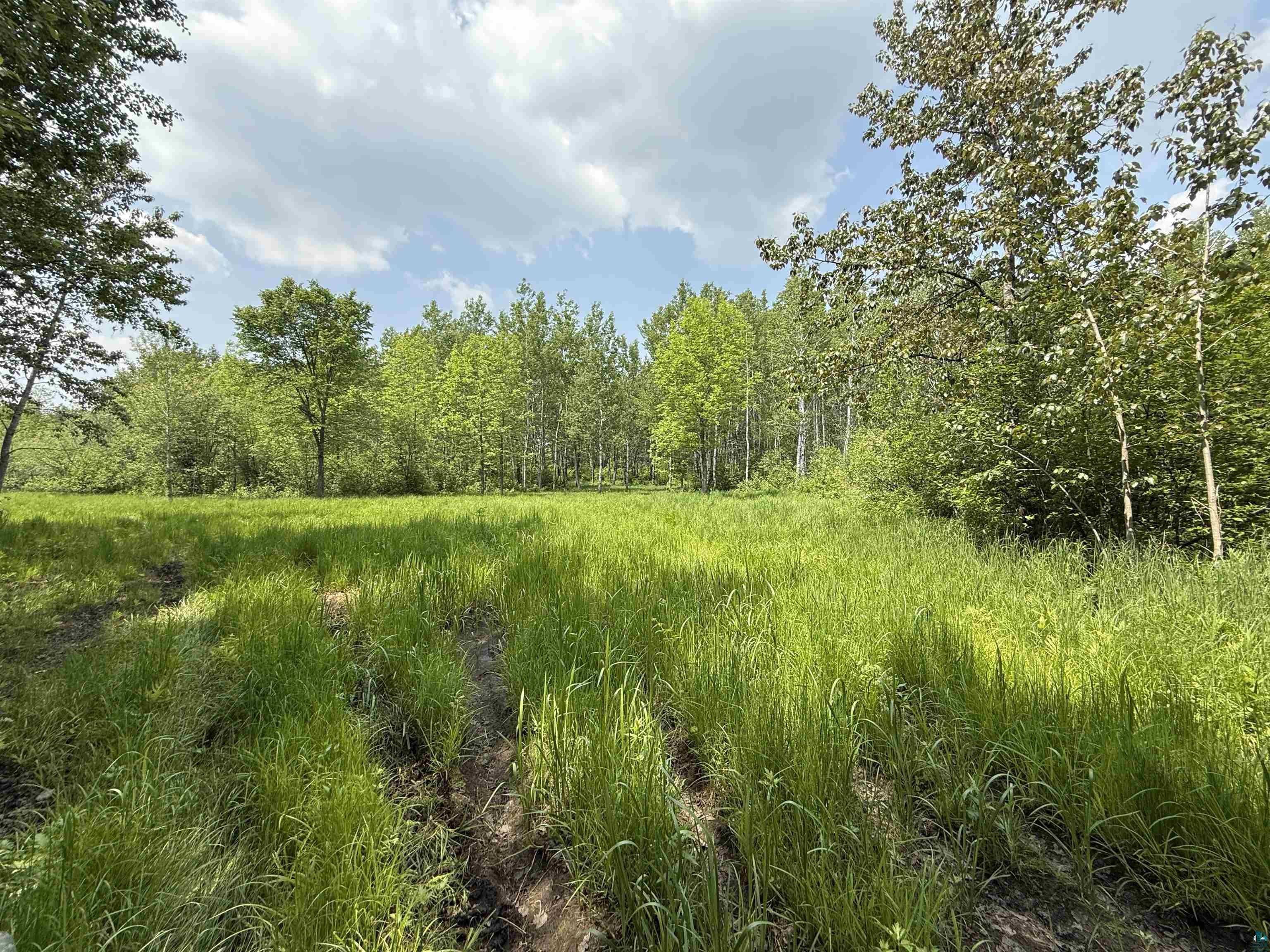 TBD Samuelson Rd Angora MN 55703 6118244 image9