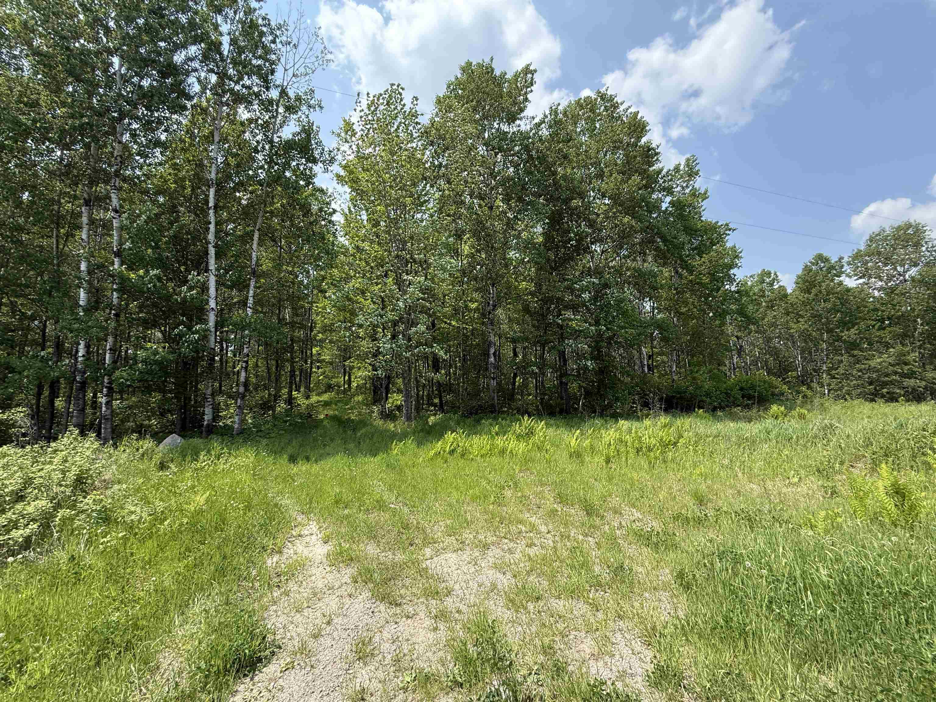 TBD Samuelson Rd Angora MN 55703 6118245 image1