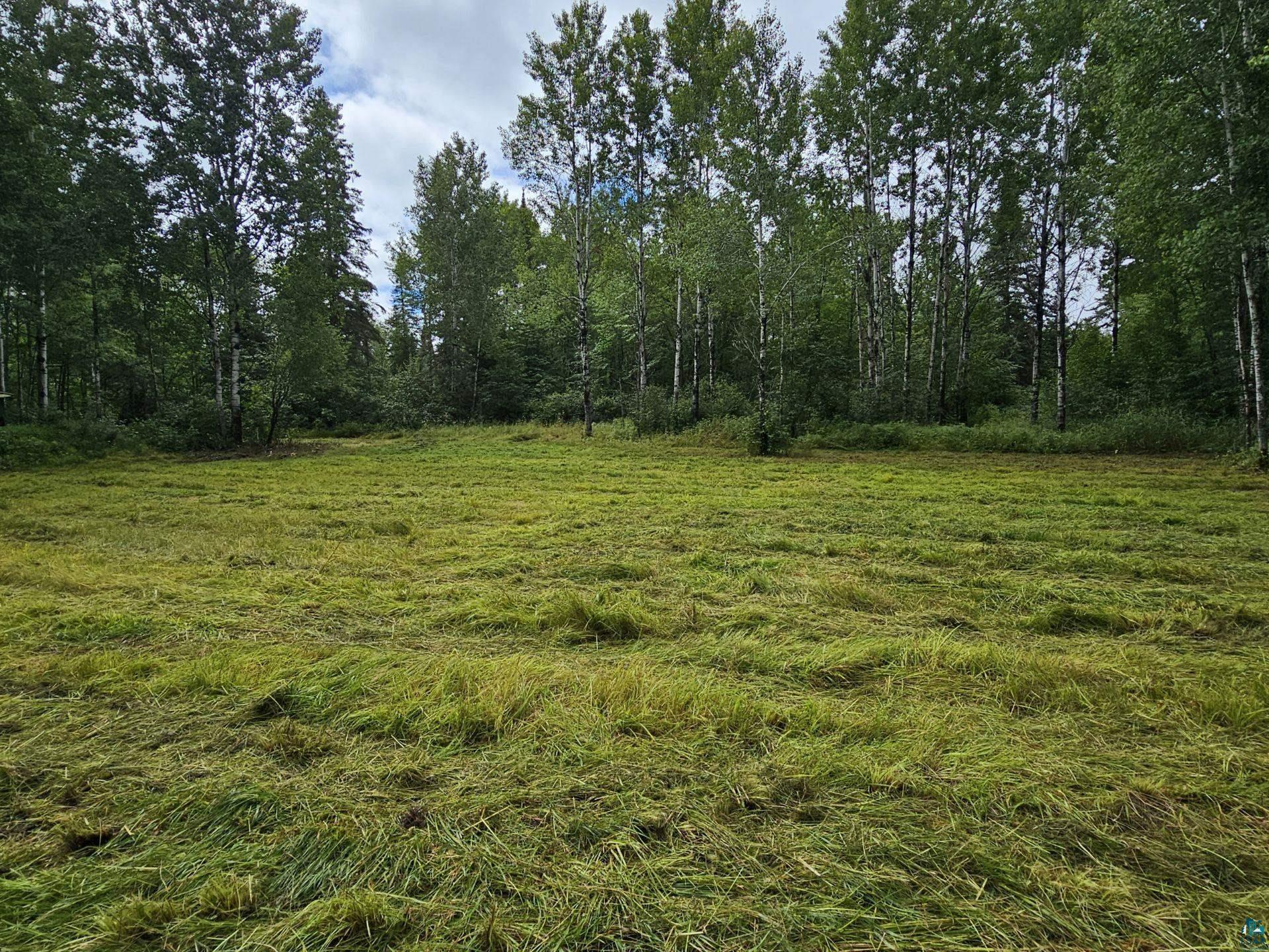 TBD Samuelson Rd Angora MN 55703 6126166 image21