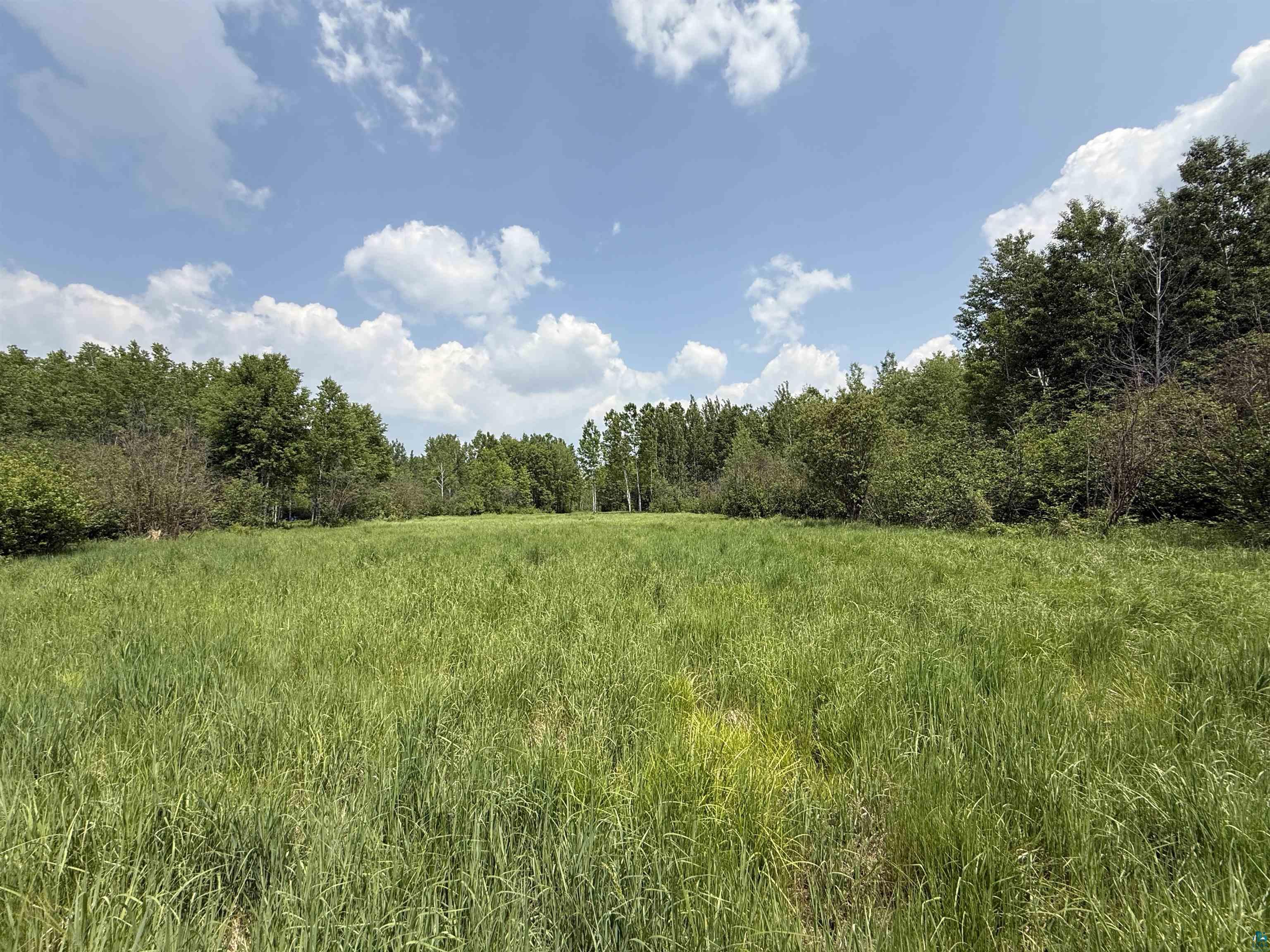 TBD Samuelson Rd Angora MN 55703 6126166 image22