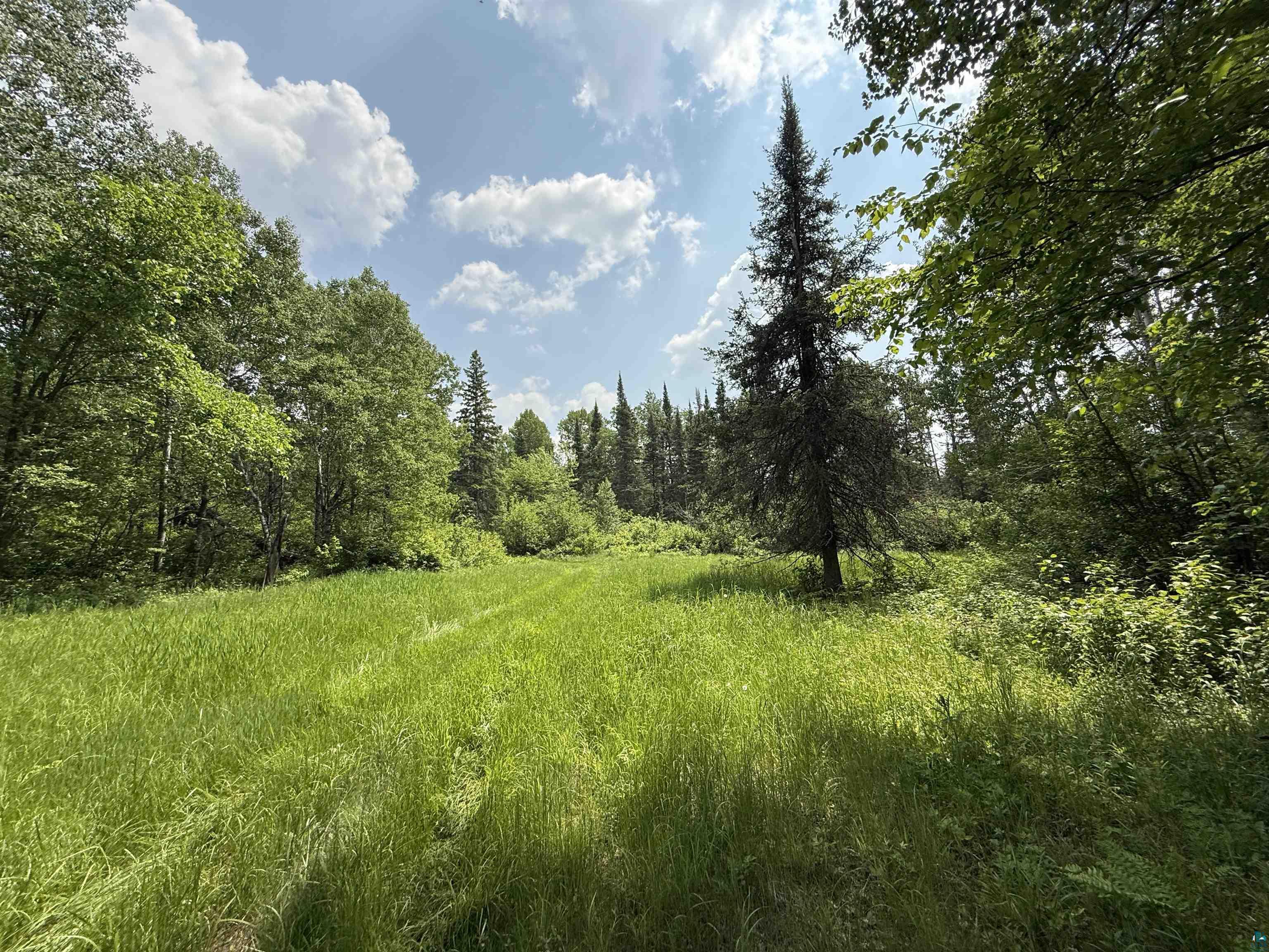 TBD Samuelson Rd Angora MN 55703 6126166 image26