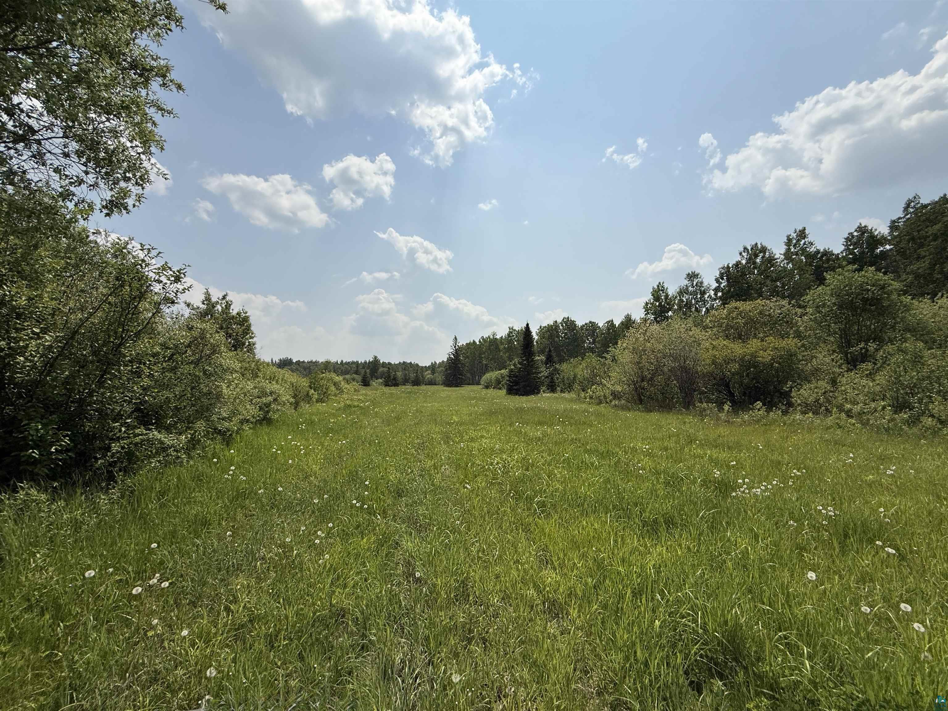 TBD Samuelson Rd Angora MN 55703 6126166 image29