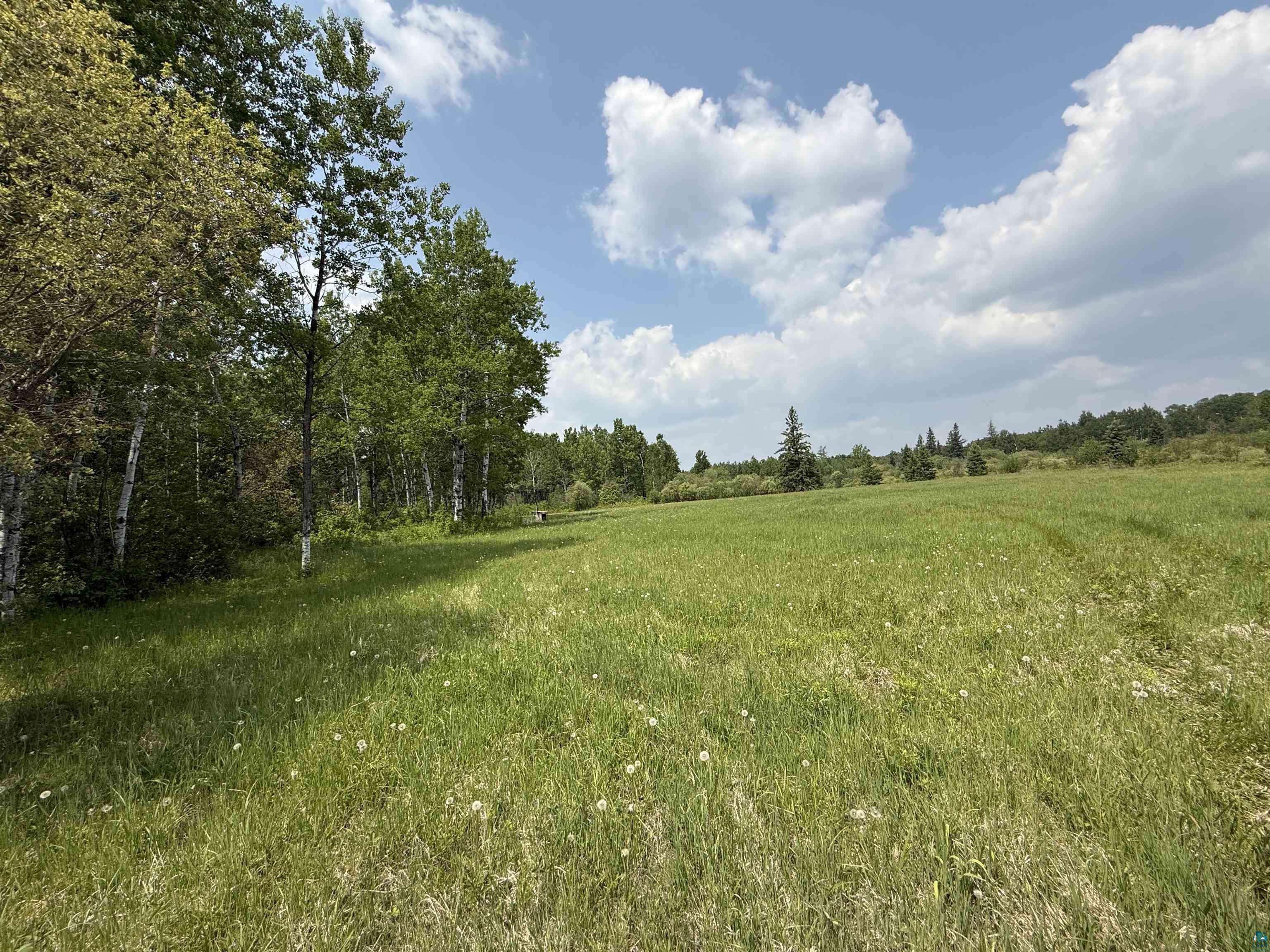 TBD Samuelson Rd Angora MN 55703 6126166 image35