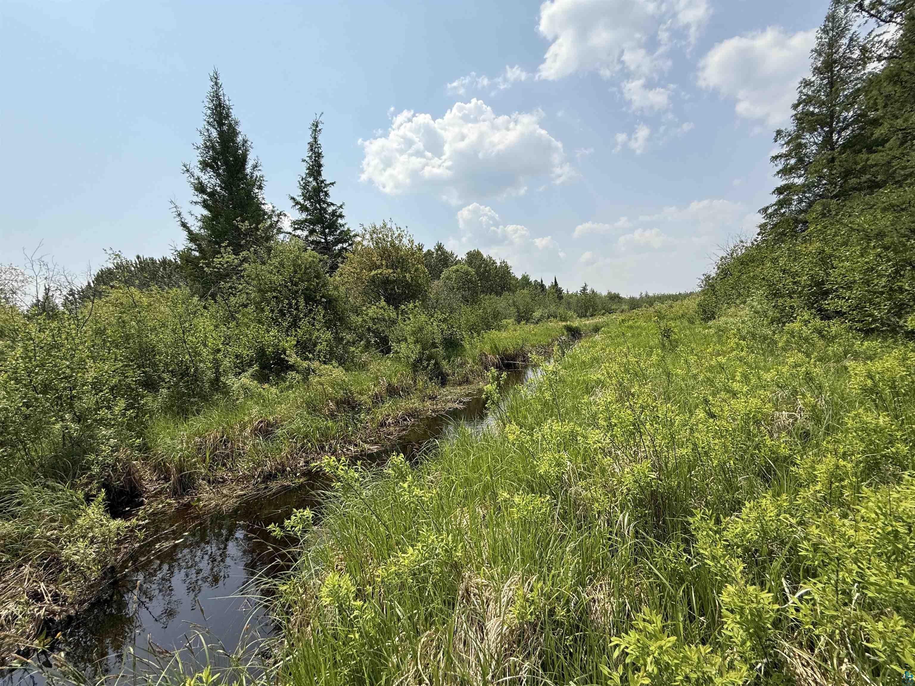 TBD Samuelson Rd Angora MN 55703 6126166 image37