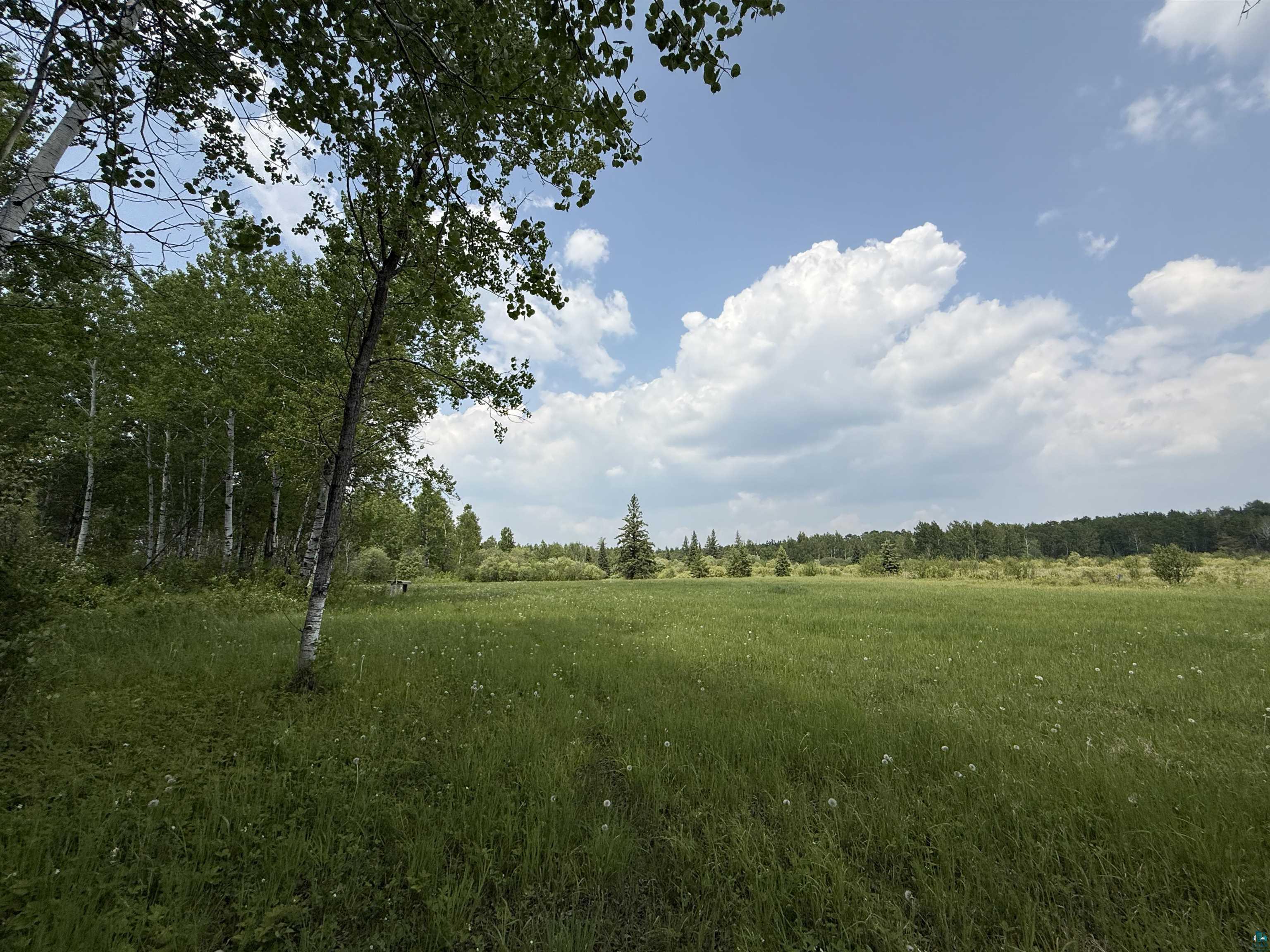 TBD Samuelson Rd Angora MN 55703 6126166 image39