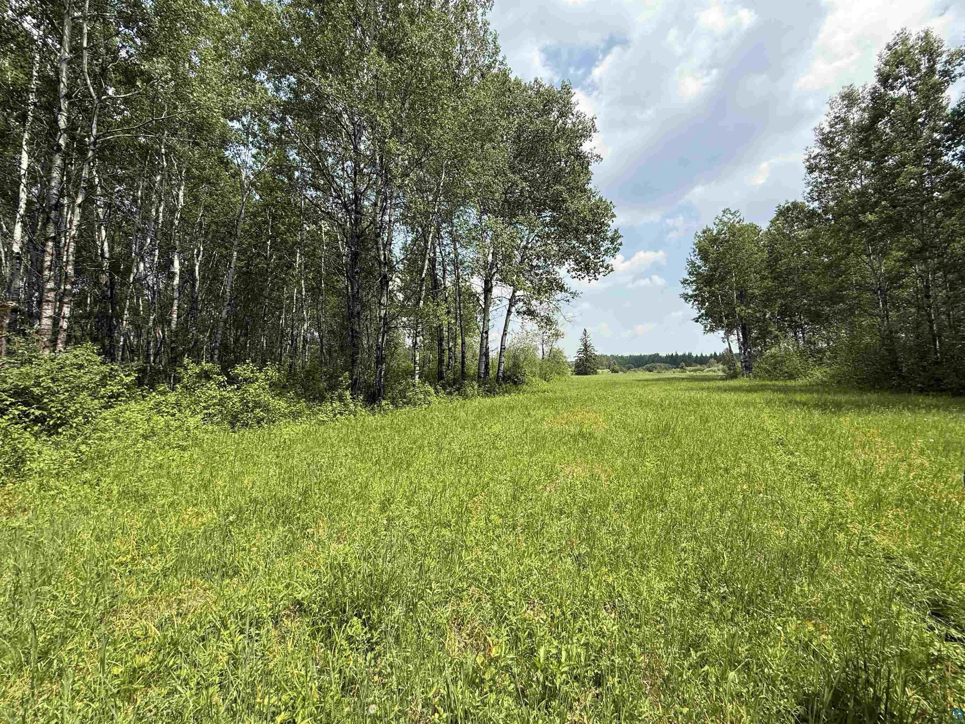 TBD Samuelson Rd Angora MN 55703 6126166 image40