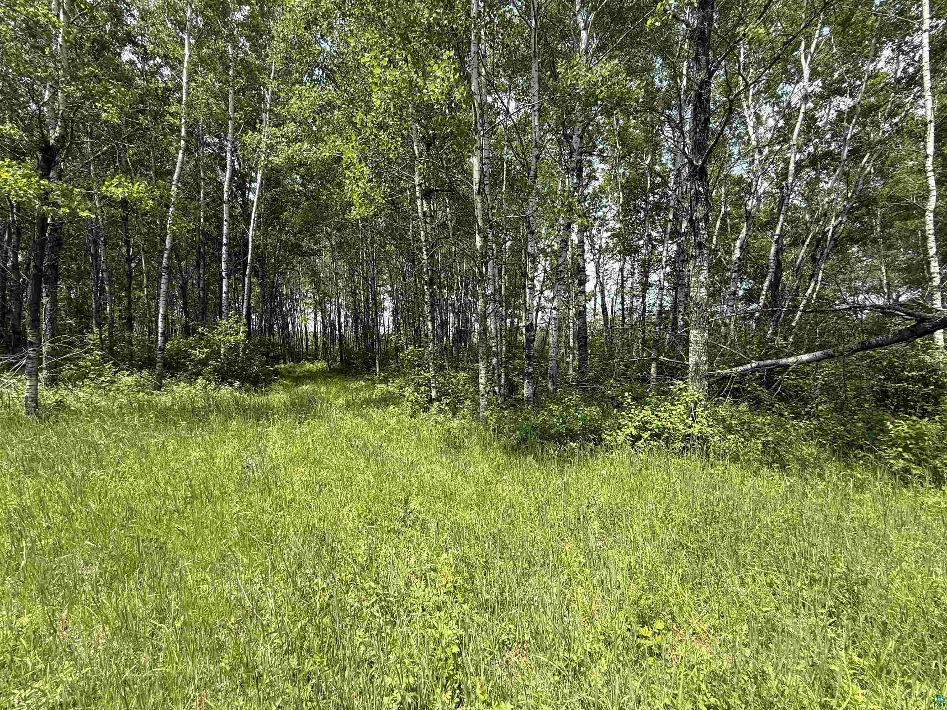 TBD Samuelson Rd Angora MN 55703 6126166 image41