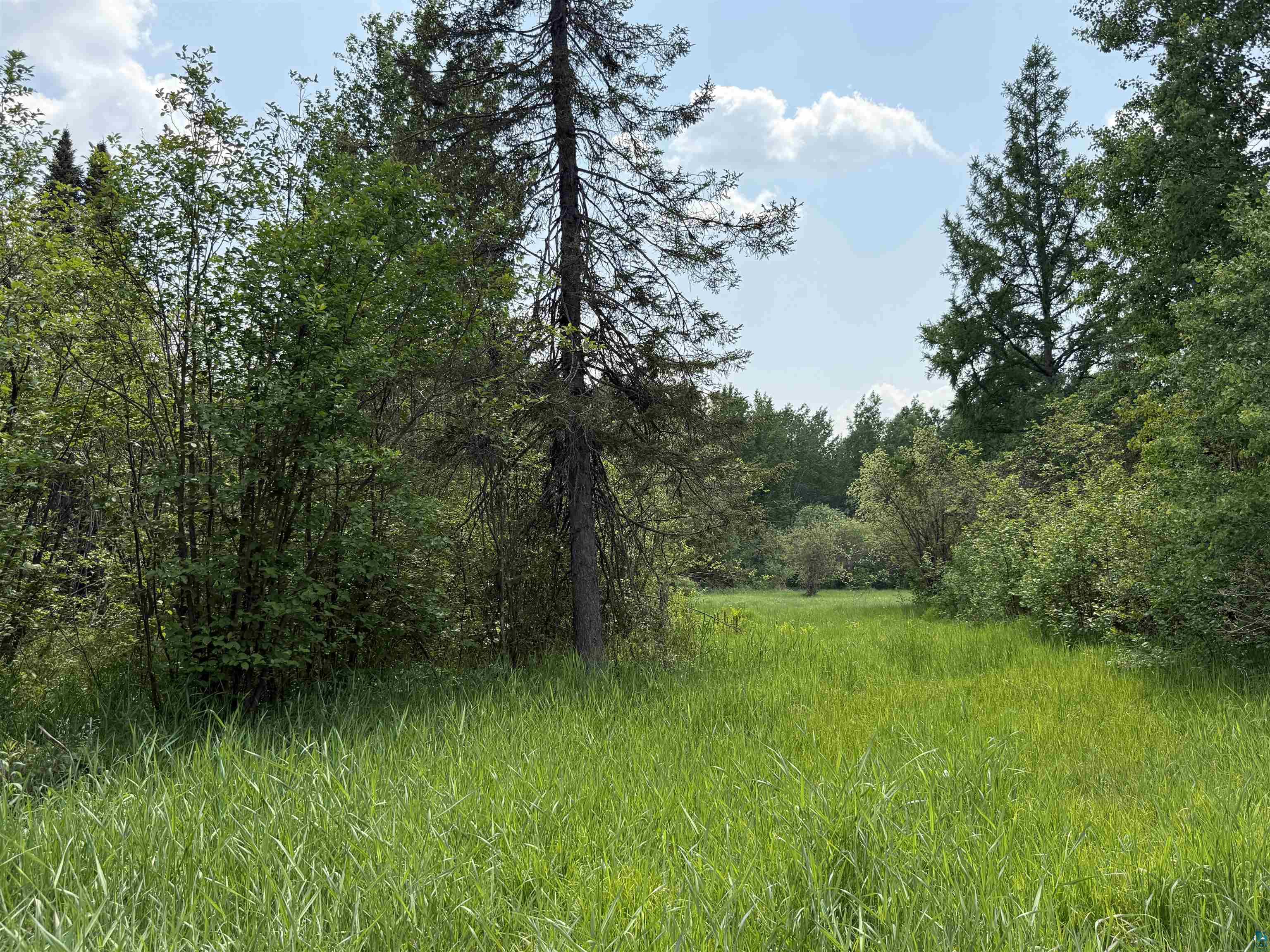 TBD Samuelson Rd Angora MN 55703 6126166 image43