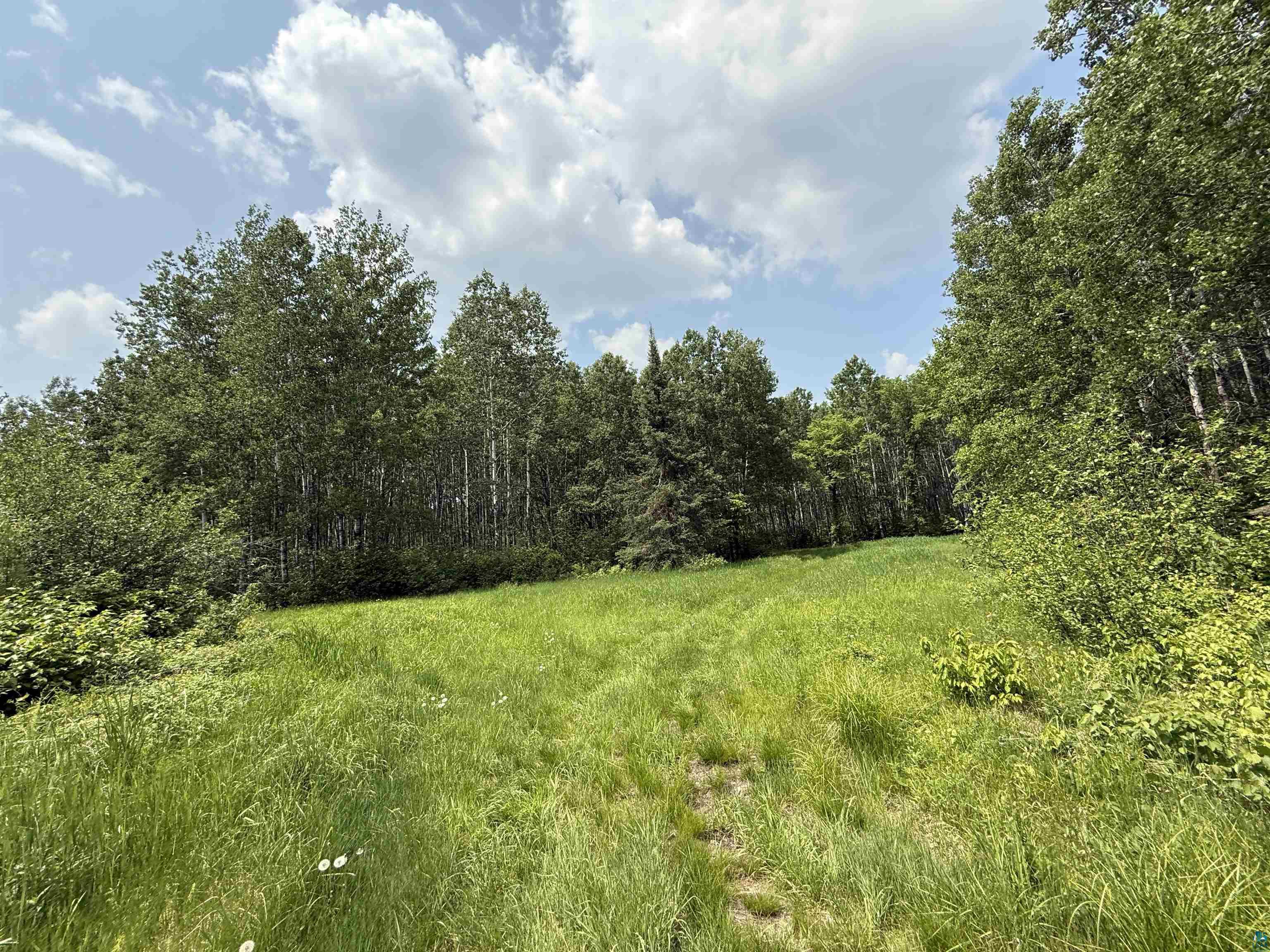 TBD Samuelson Rd Angora MN 55703 6126166 image5