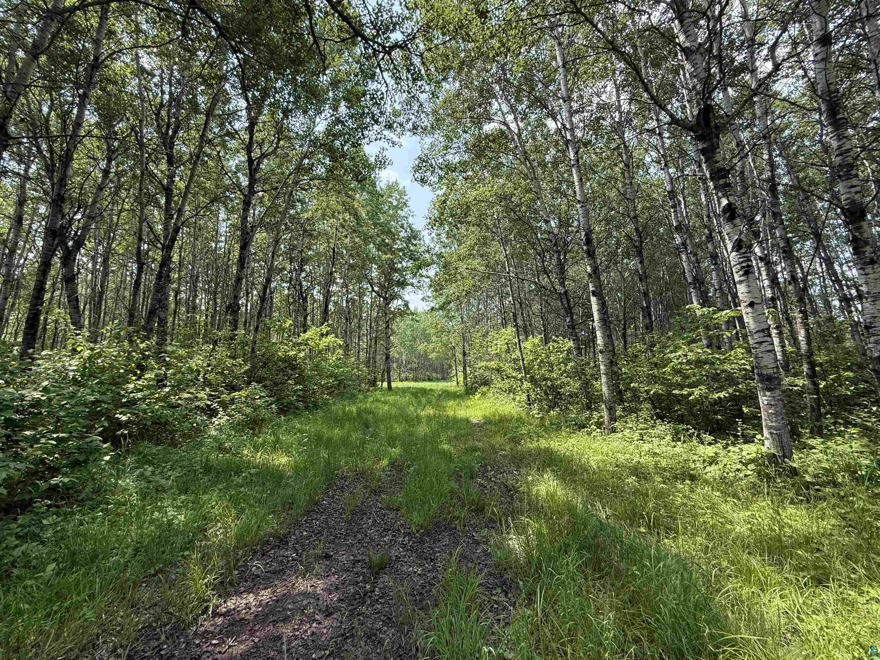 TBD Samuelson Rd Angora MN 55703 6126166 image6