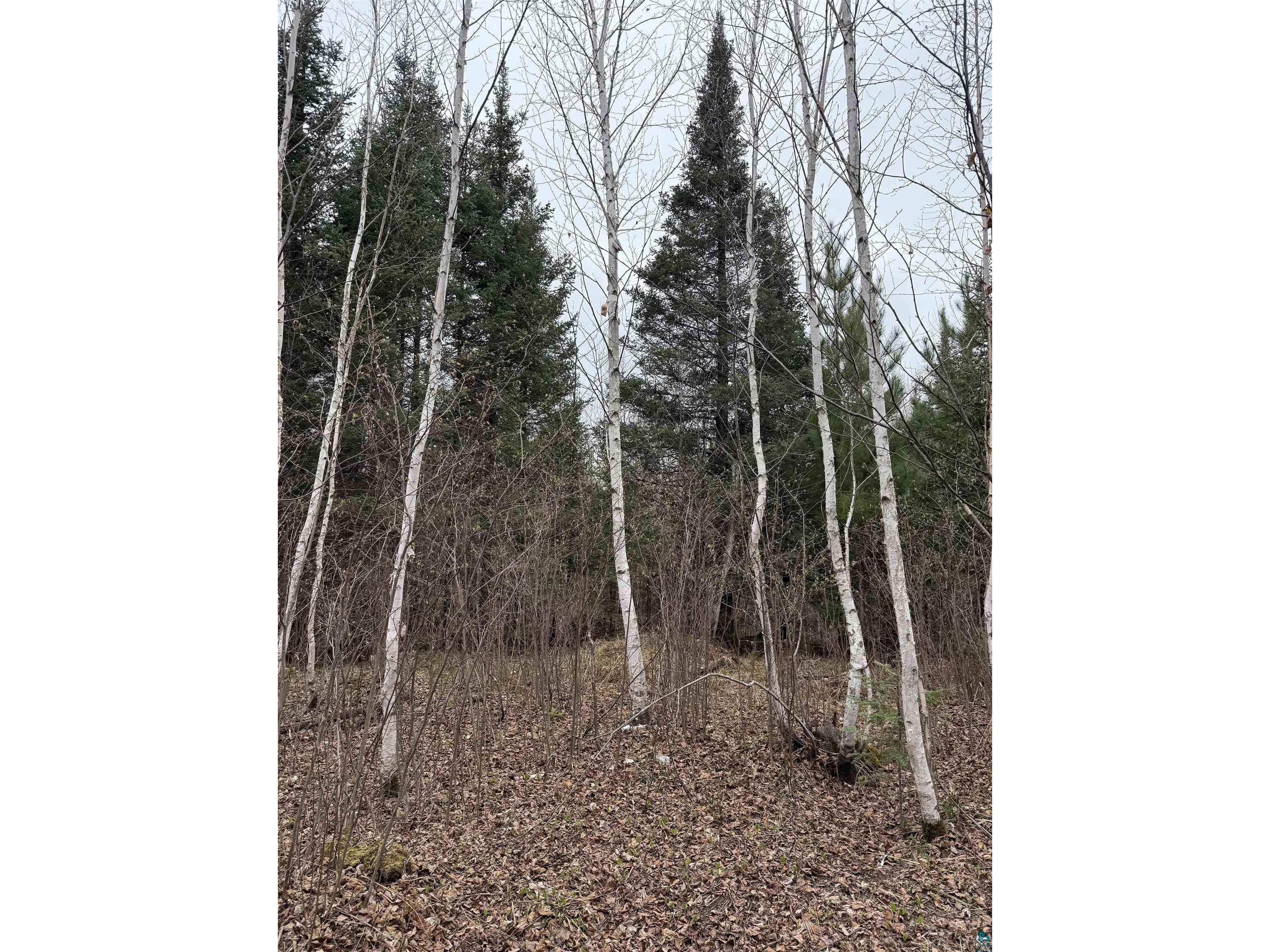 TBD Scout Camp Rd Eveleth MN 55734 6125356 image11