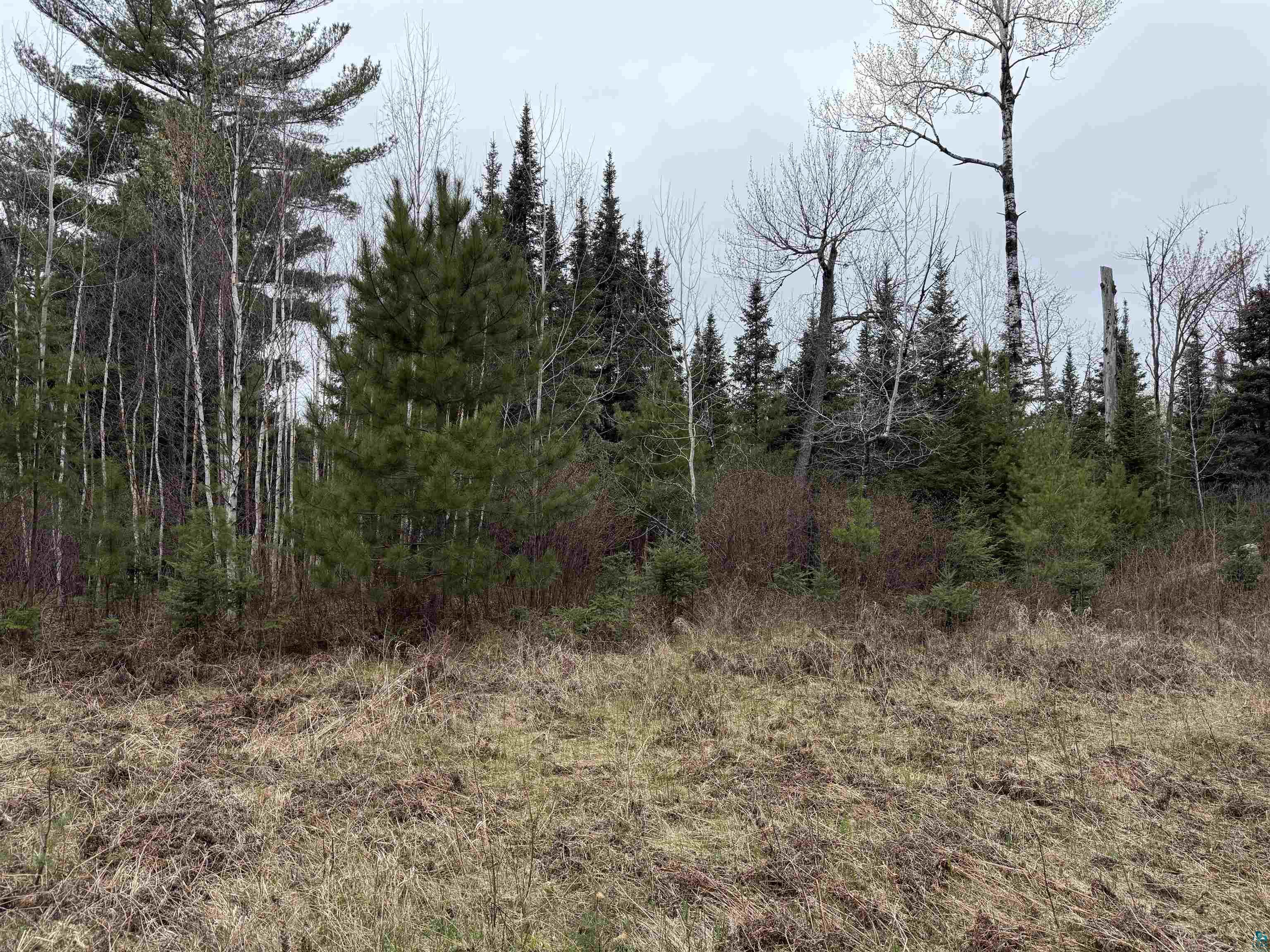 TBD Scout Camp Rd Eveleth MN 55734 6125356 image13