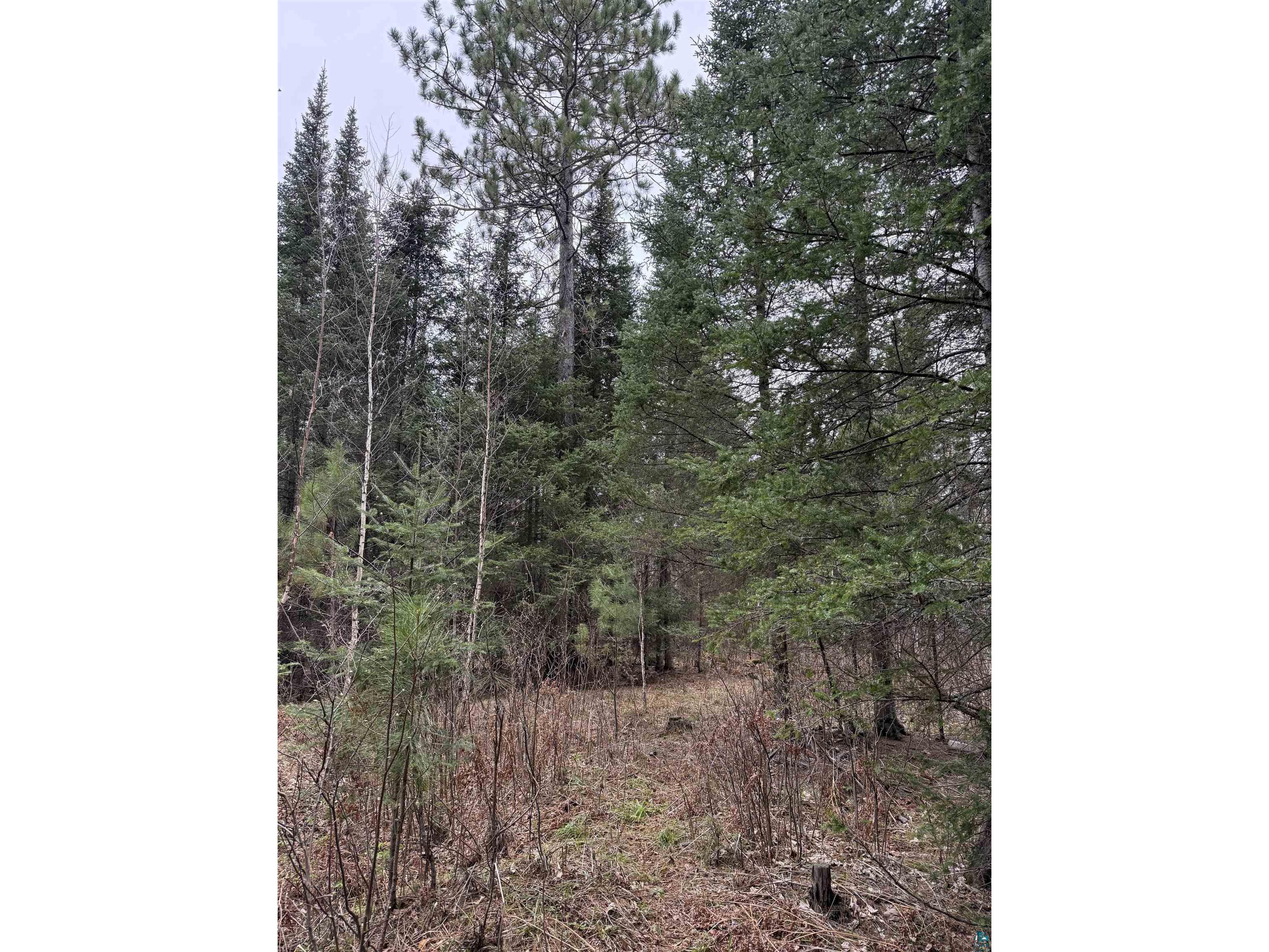 TBD Scout Camp Rd Eveleth MN 55734 6125356 image14