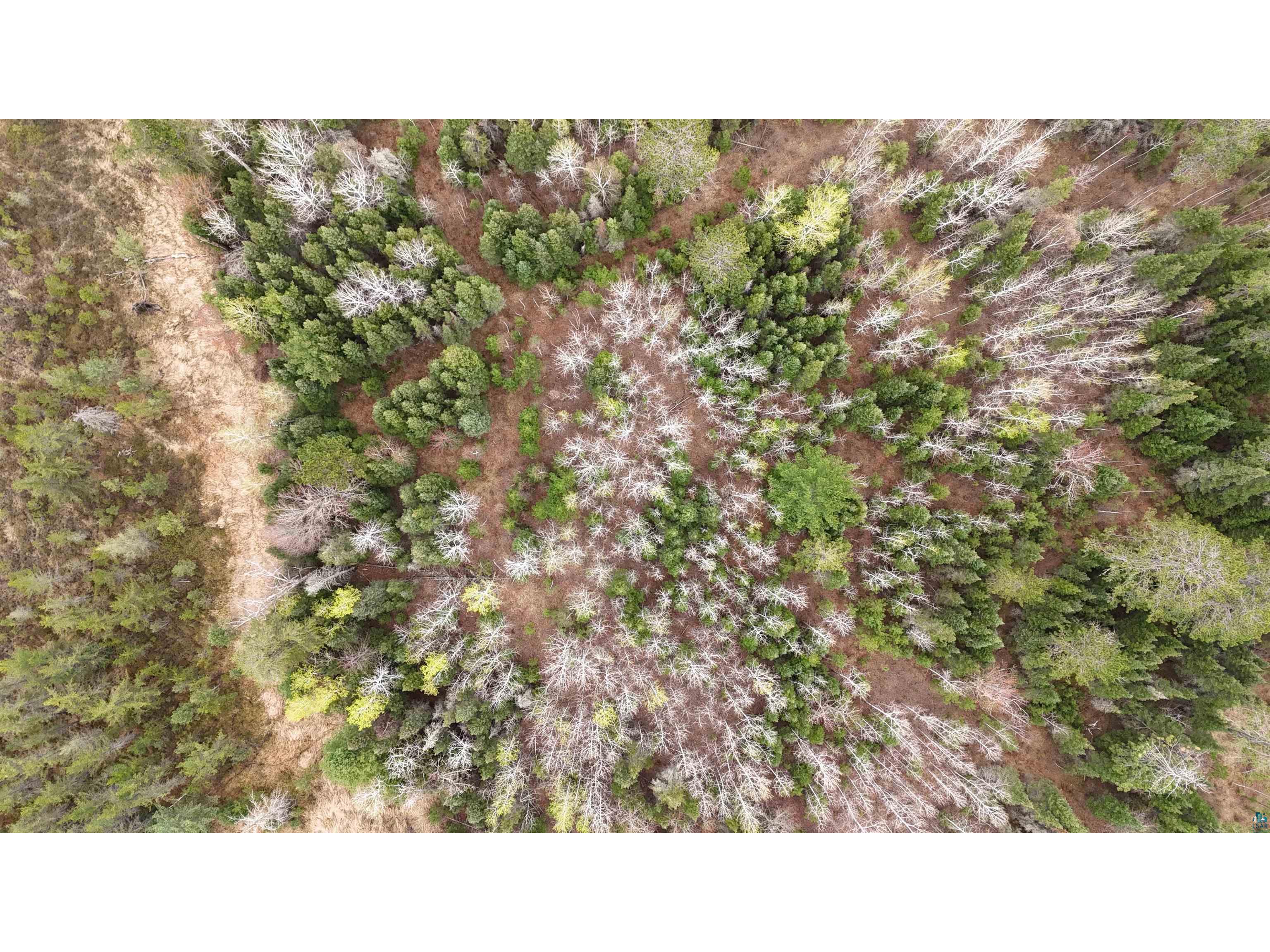 TBD Scout Camp Rd Eveleth MN 55734 6125356 image6