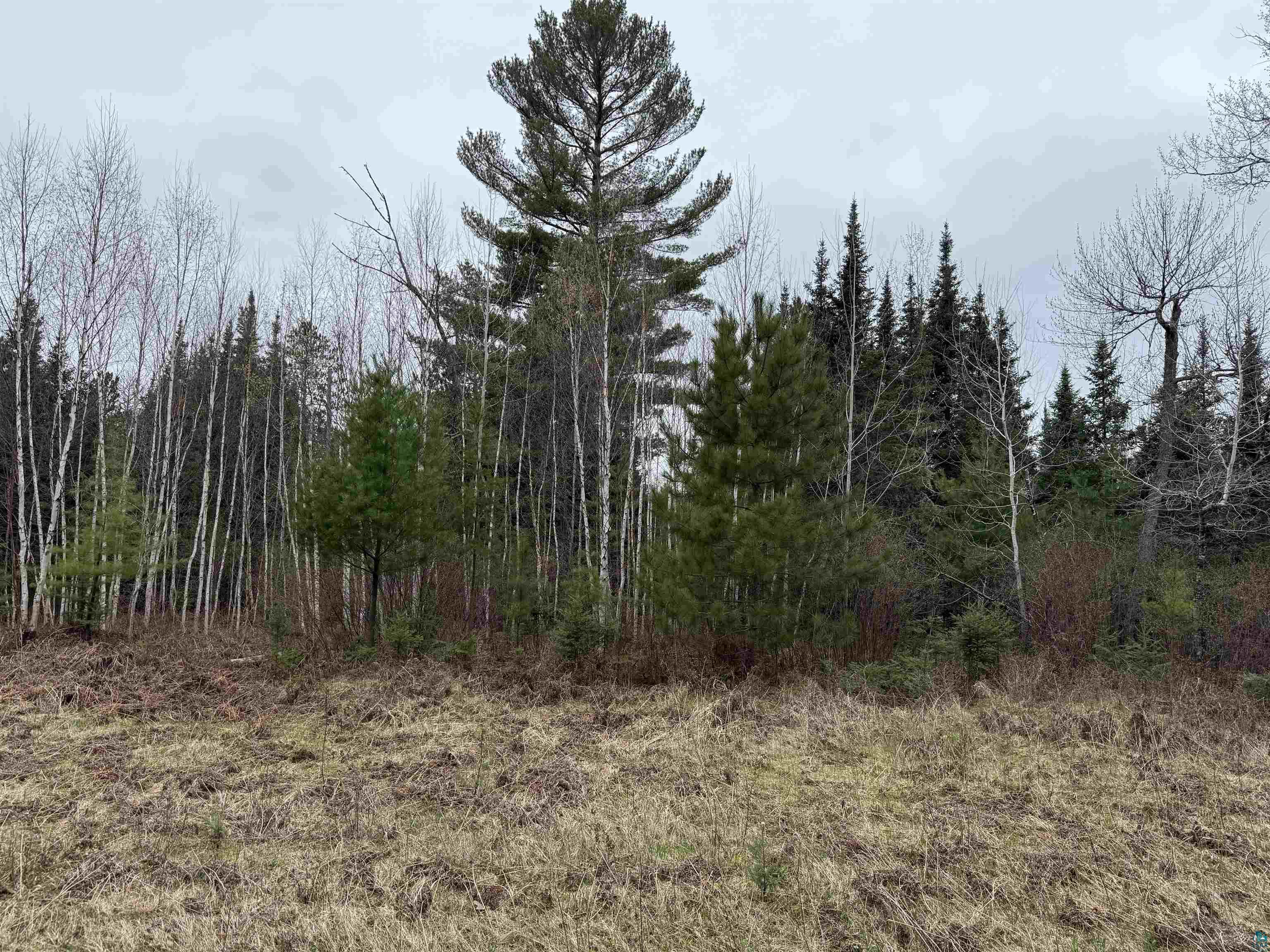 TBD Scout Camp Rd Eveleth MN 55734 6125356 image8