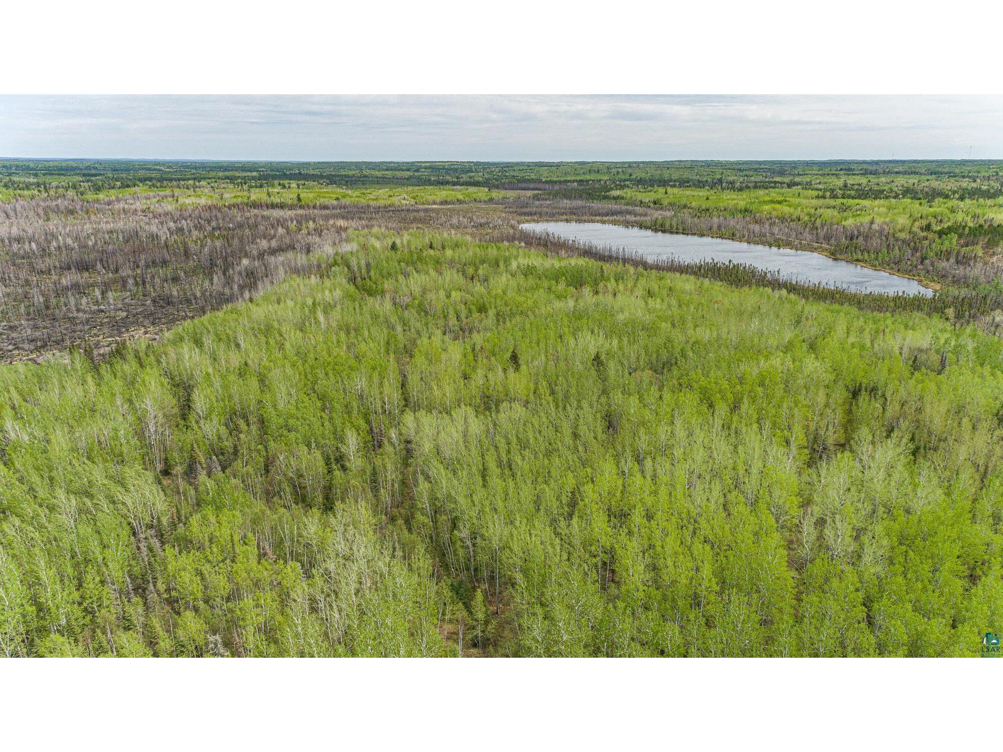 TBD Stony Loop Isabella MN 55607 6108370 image1