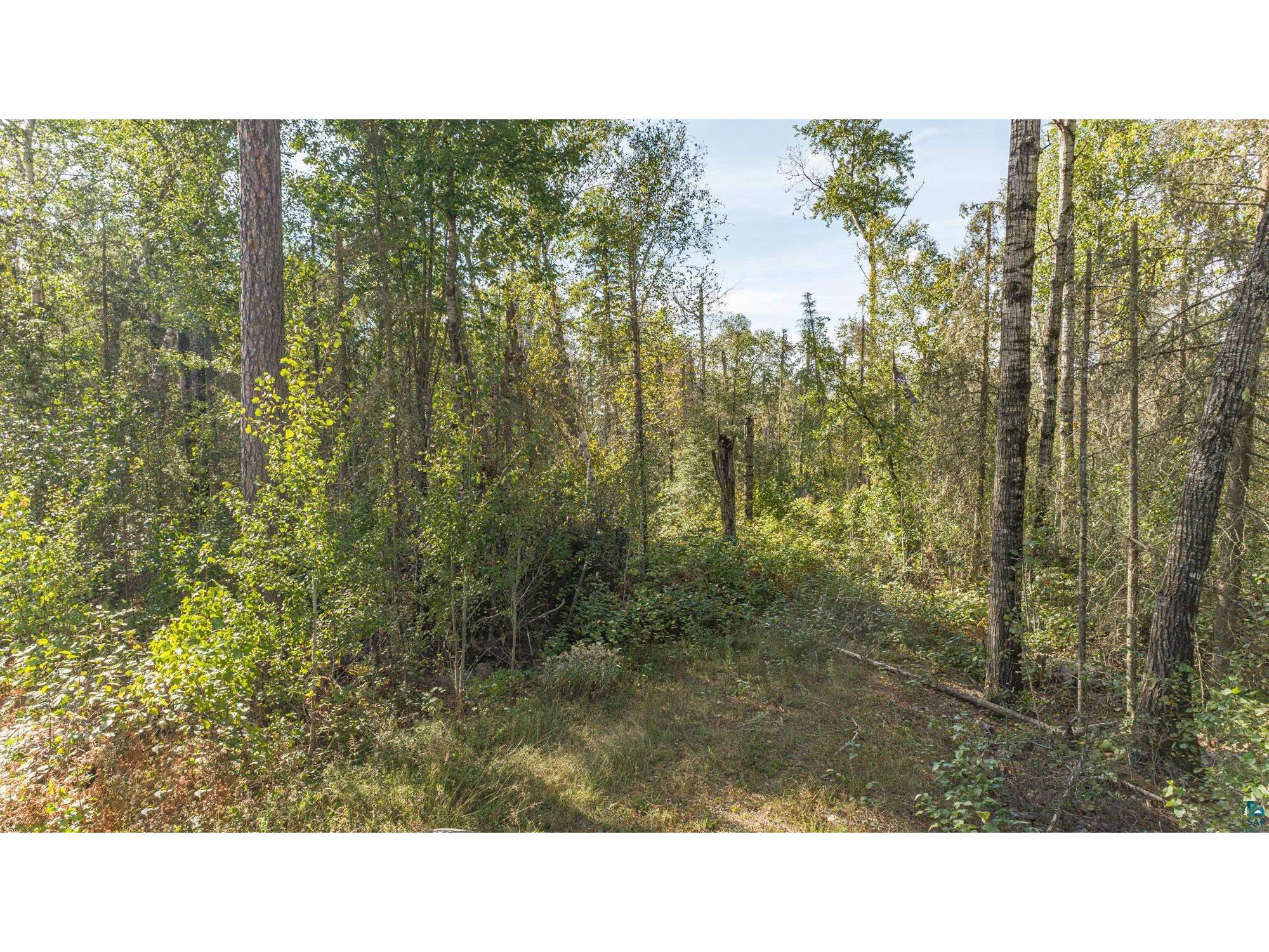 TBD Sunset Rd Ely MN 55731 - White Iron 6100753 image25