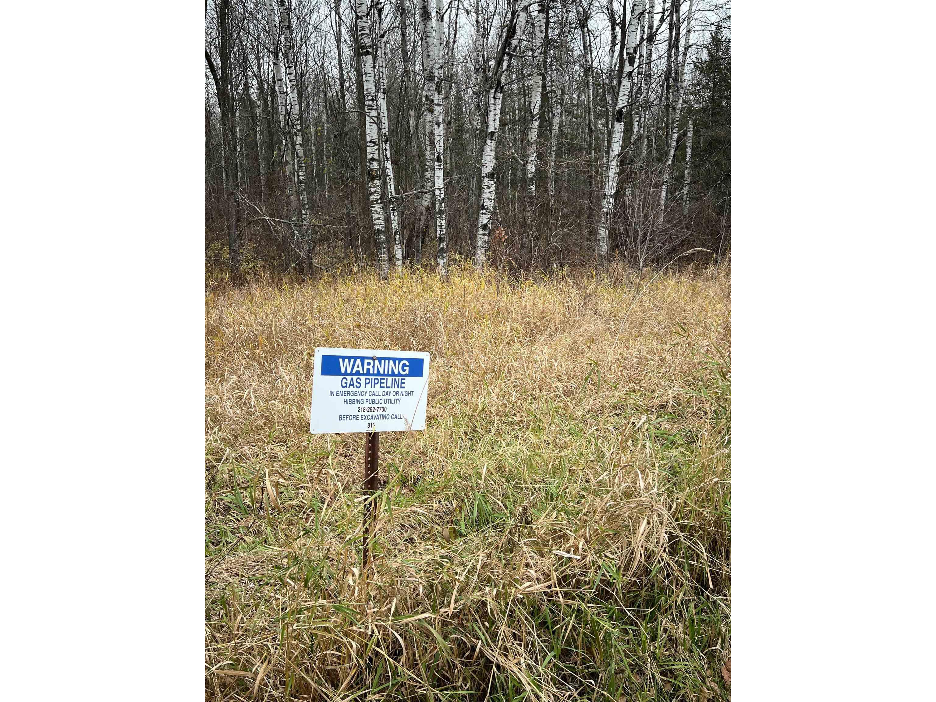 TBD Townline Rd Hibbing MN 55746 6122858 image4