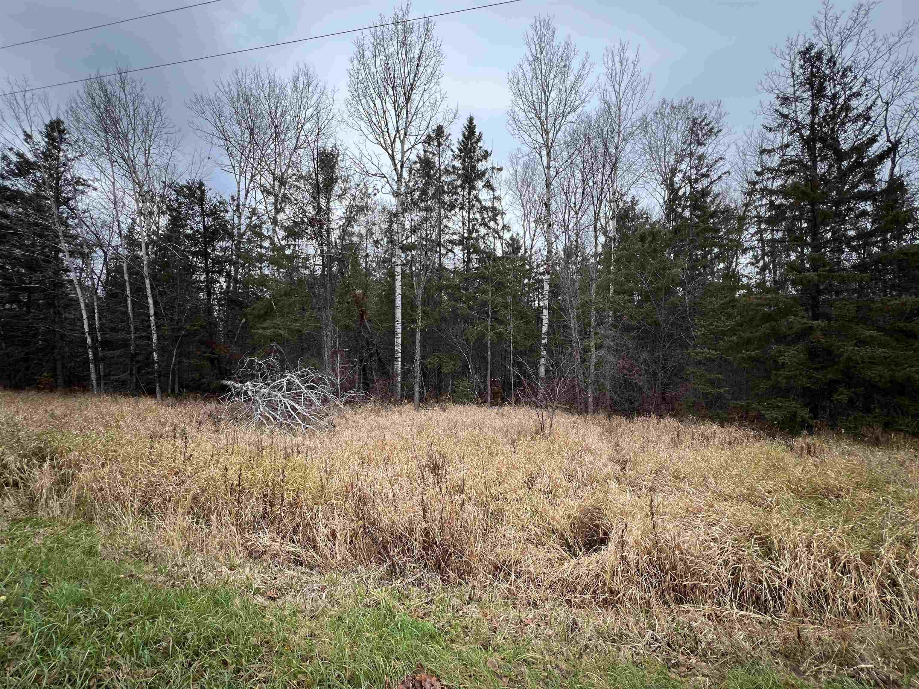 TBD Townline Rd Hibbing MN 55746 6122858 image6
