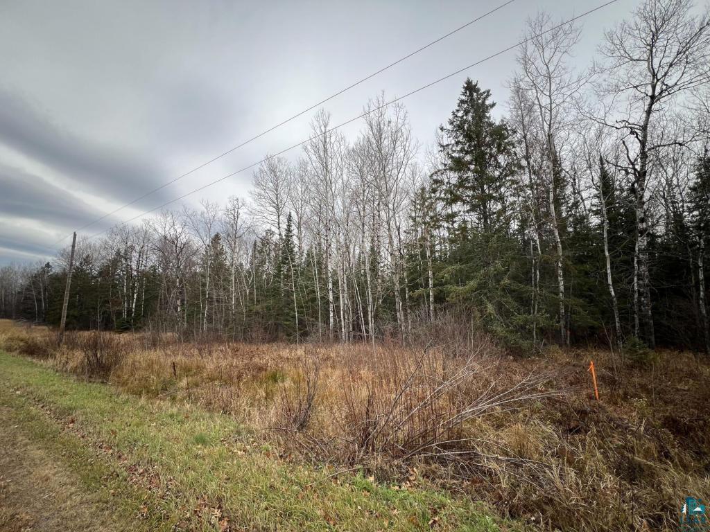 TBD Townline Rd Hibbing MN 55746 6125431 image2
