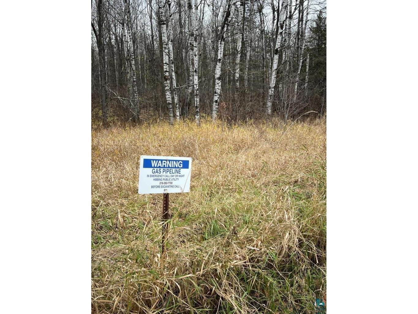 TBD Townline Rd Hibbing MN 55746 6125431 image4