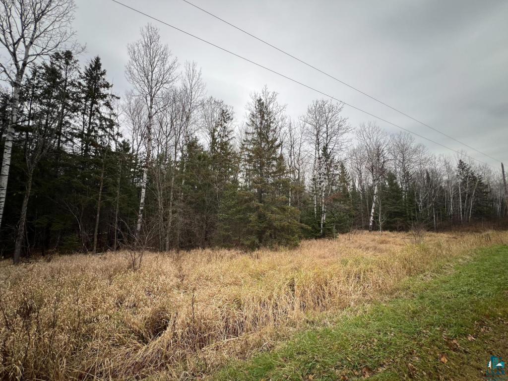 TBD Townline Rd Hibbing MN 55746 6125431 image5