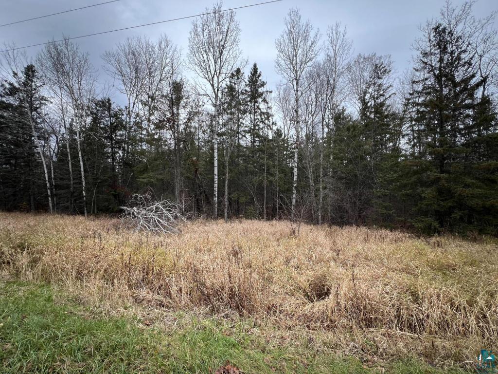 TBD Townline Rd Hibbing MN 55746 6125431 image6
