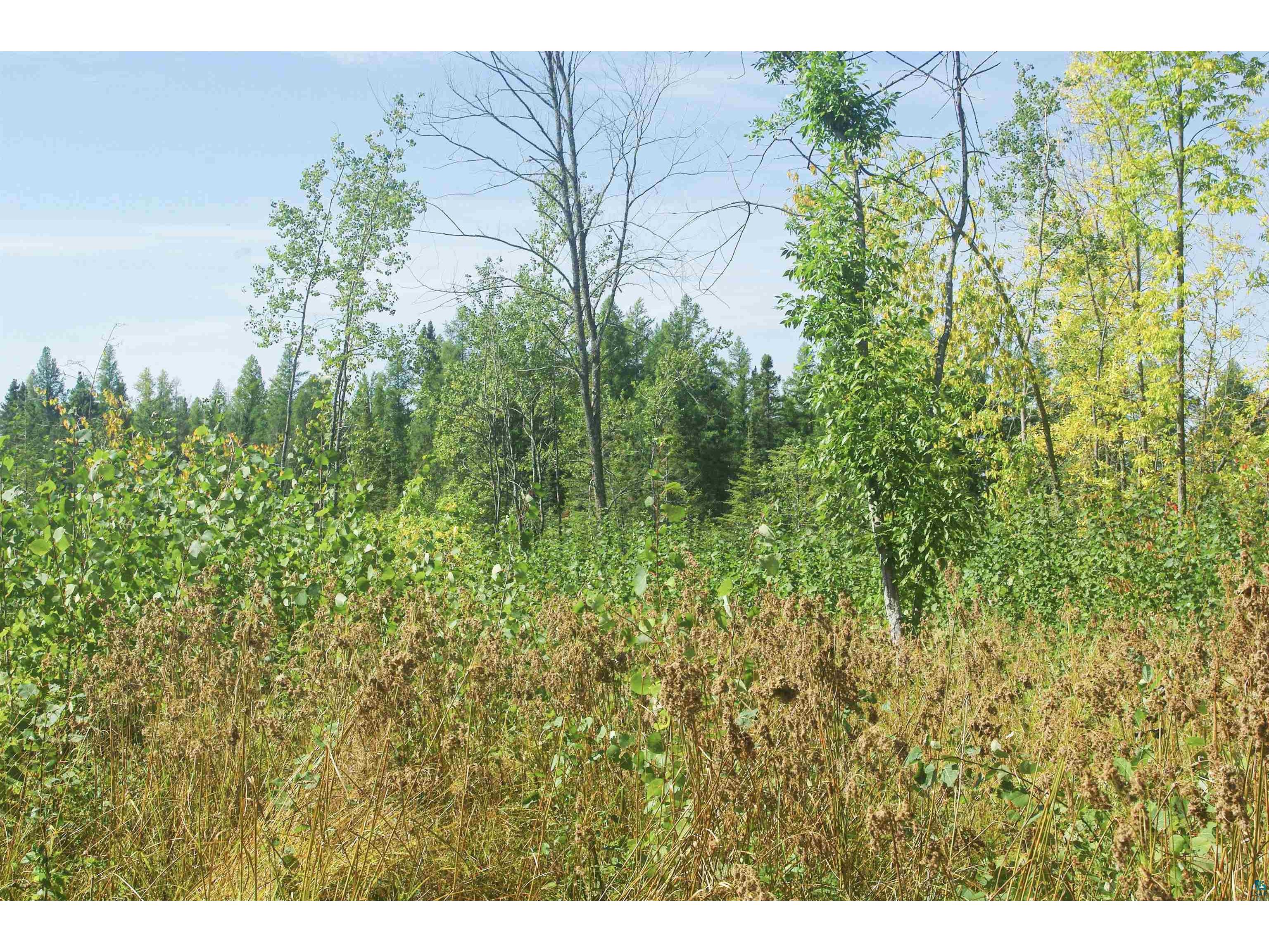 TBD Township Rd 5743, Alborn, MN, 55702 MLS 6110791 Edina Realty