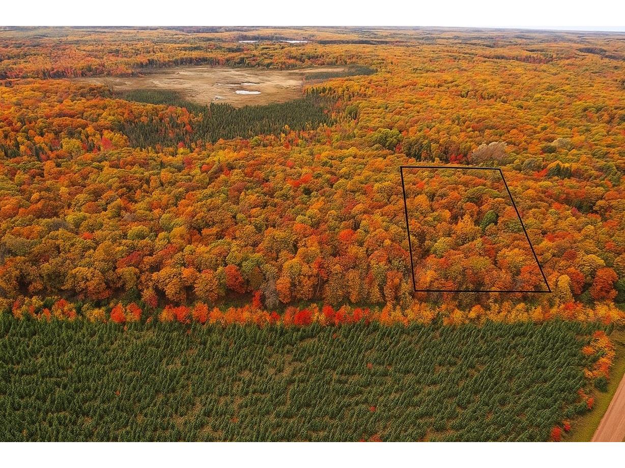 TBD Lot #2 Tressel Trail Iron River WI 54847 6122641 image1