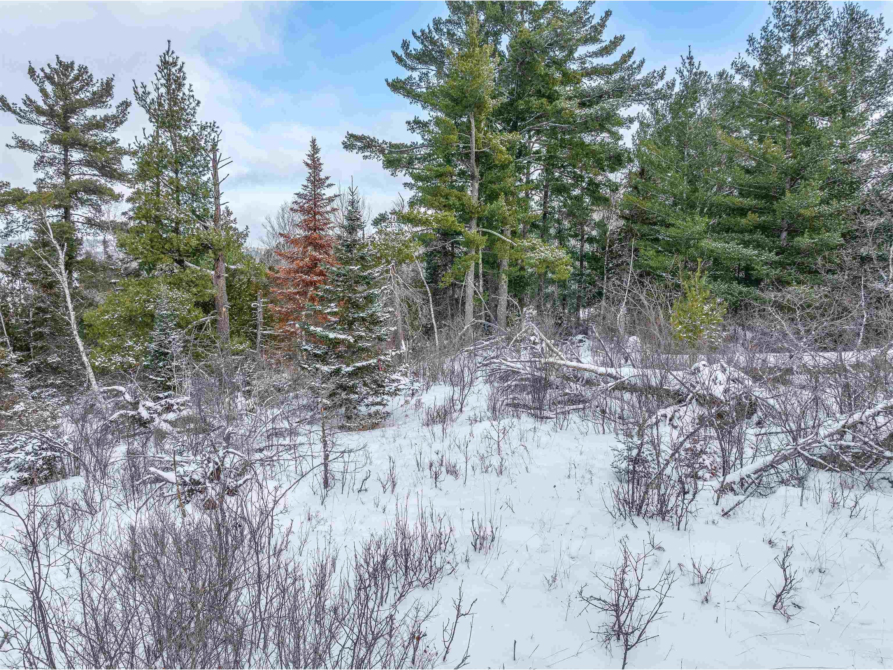 TBD Trezona Dr Ely MN 55731 6123275 image10