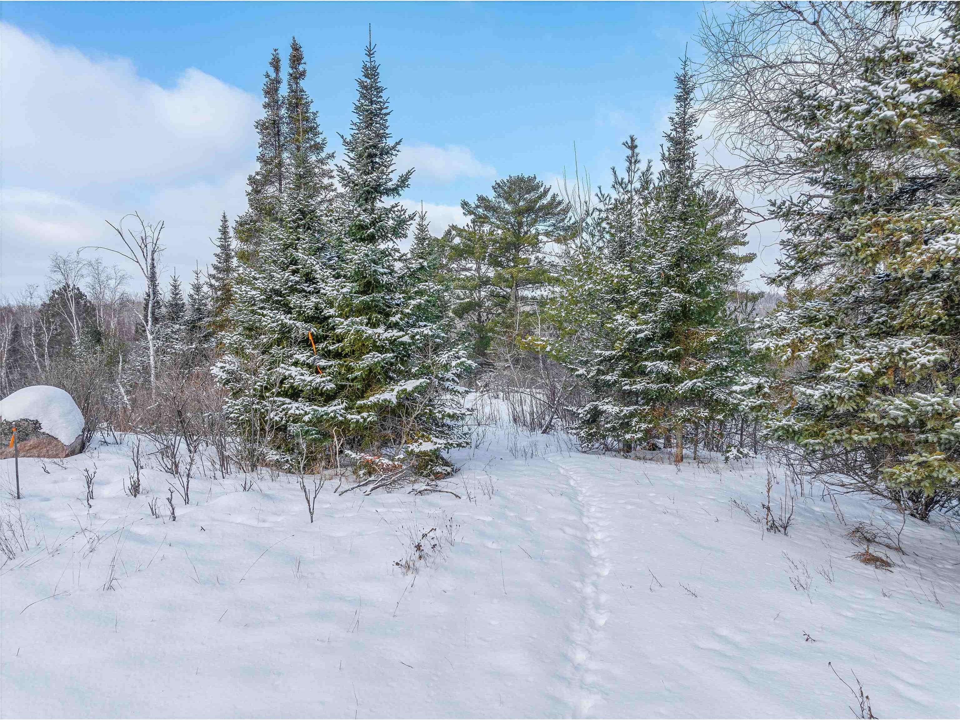 TBD Trezona Dr Ely MN 55731 6123275 image6