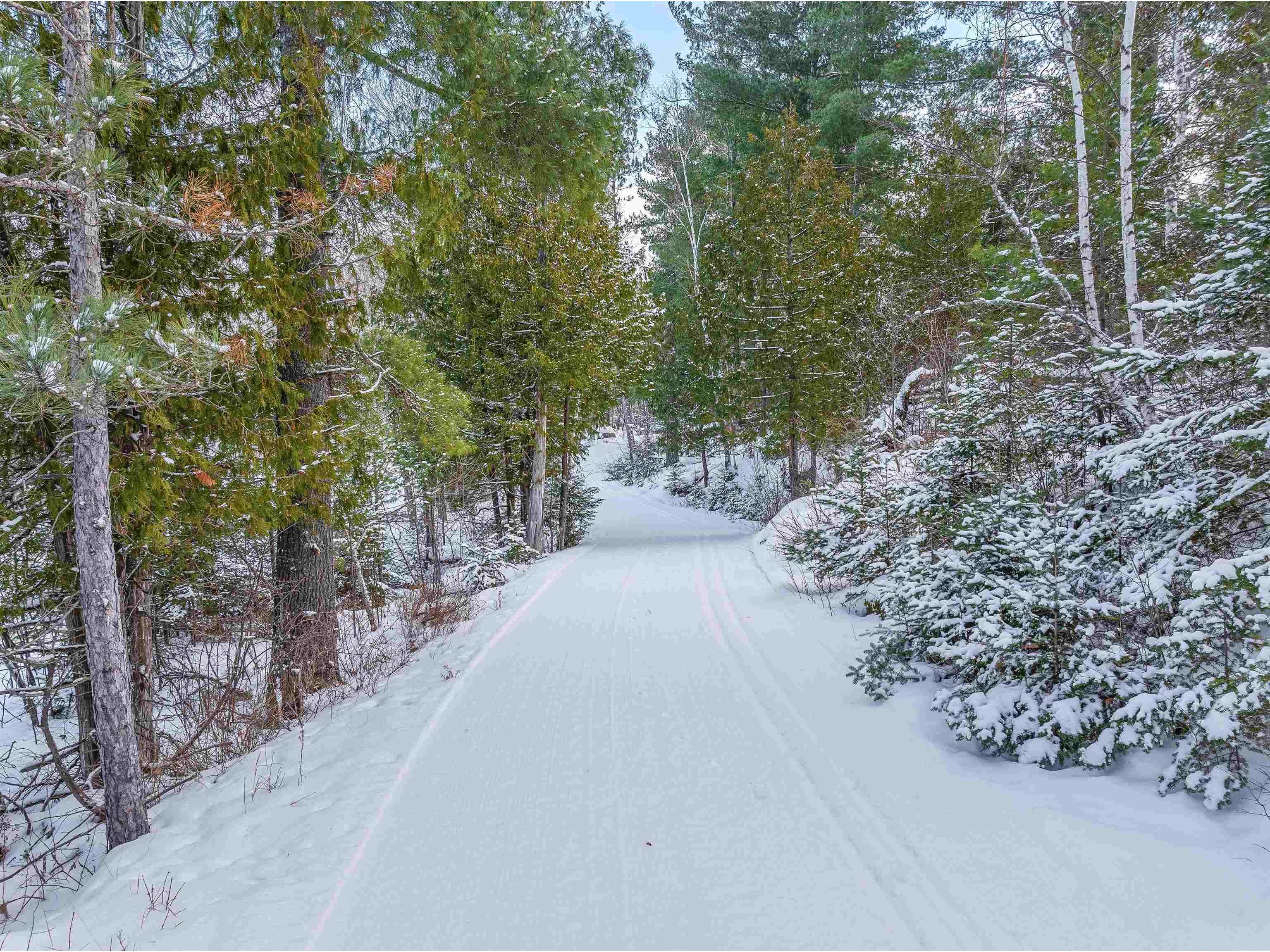 TBD Trezona Dr Ely MN 55731 6123275 image8