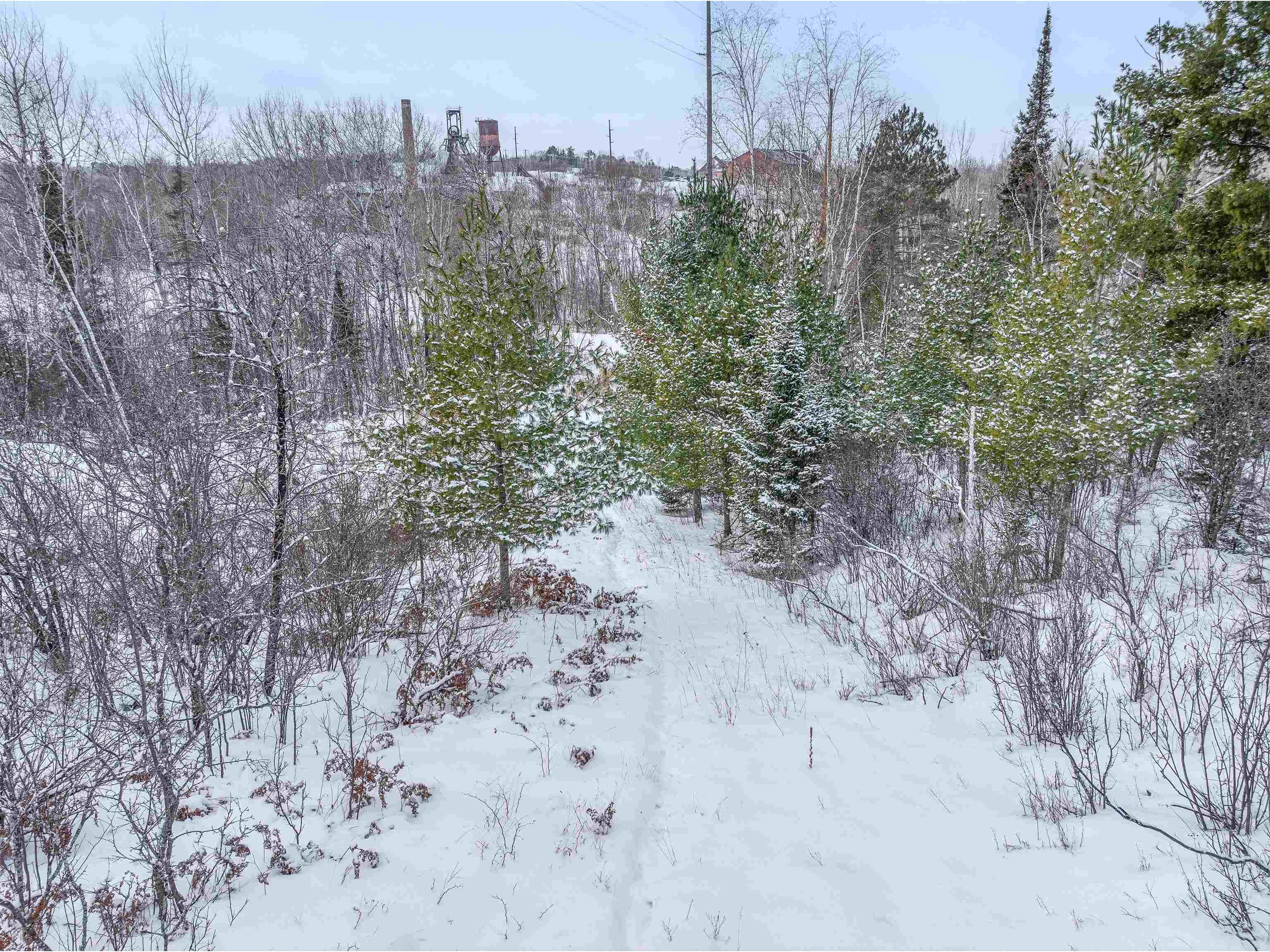 TBD Trezona Dr Ely MN 55731 6123275 image9