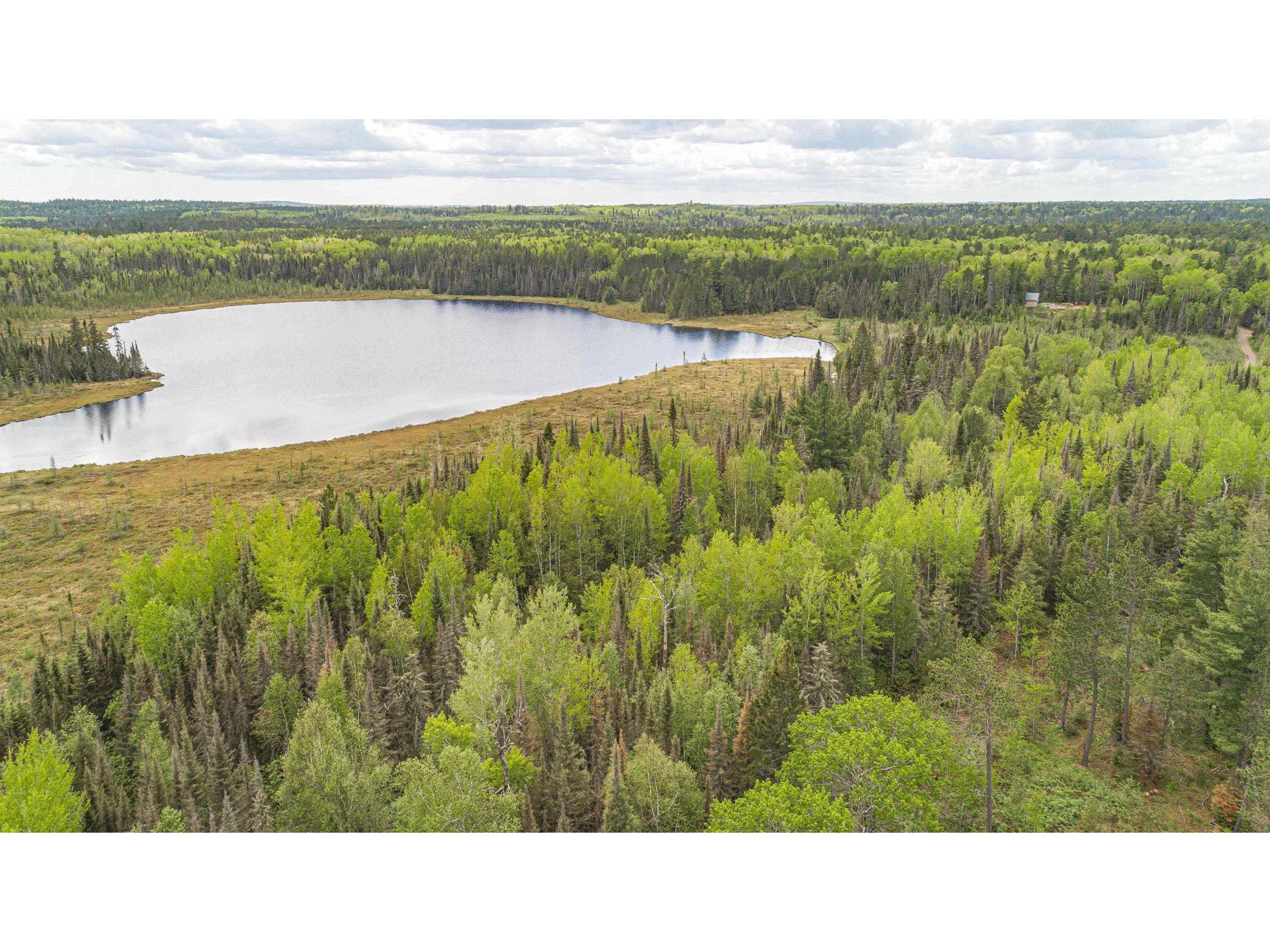 TBD Victor Lake Rd Isabella MN 55607 - Victor 6123597 image1