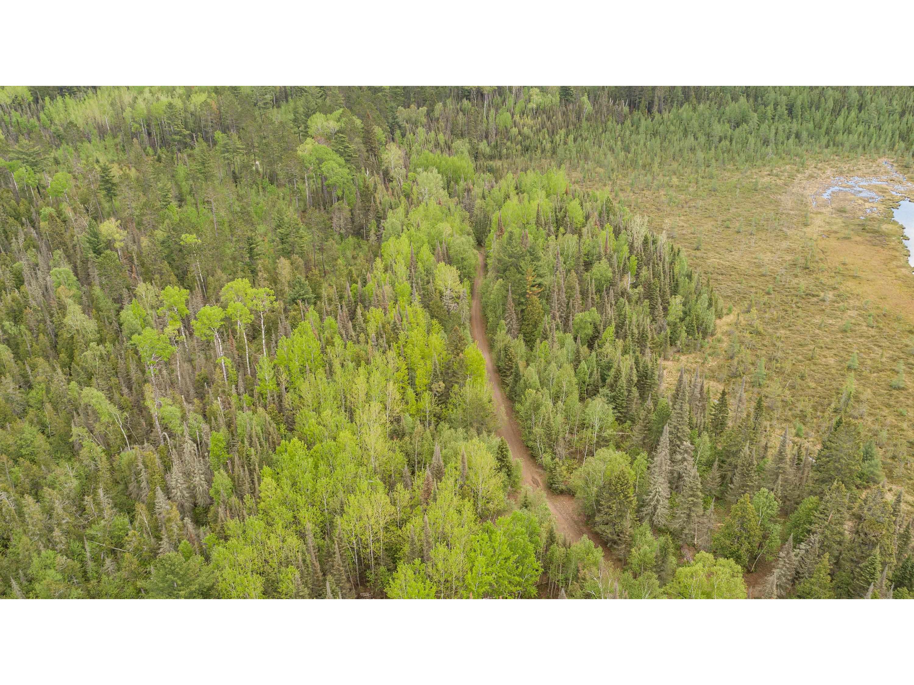 TBD Victor Lake Rd Isabella MN 55607 - Victor 6123597 image10