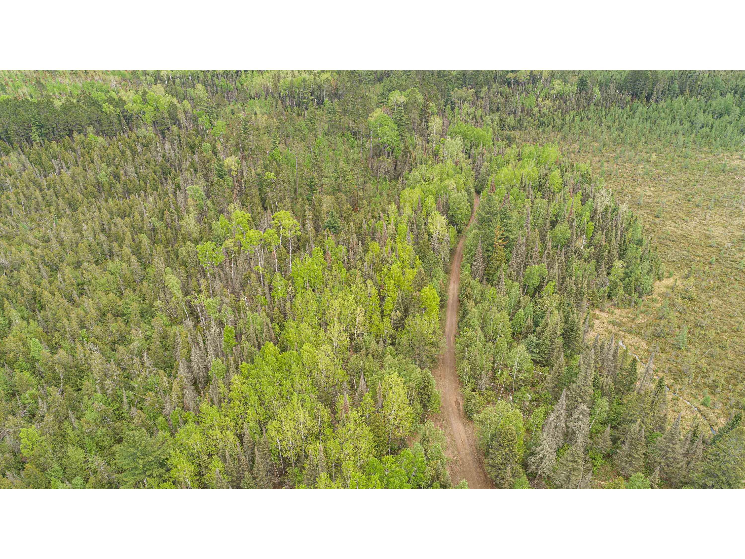 TBD Victor Lake Rd Isabella MN 55607 - Victor 6123597 image11