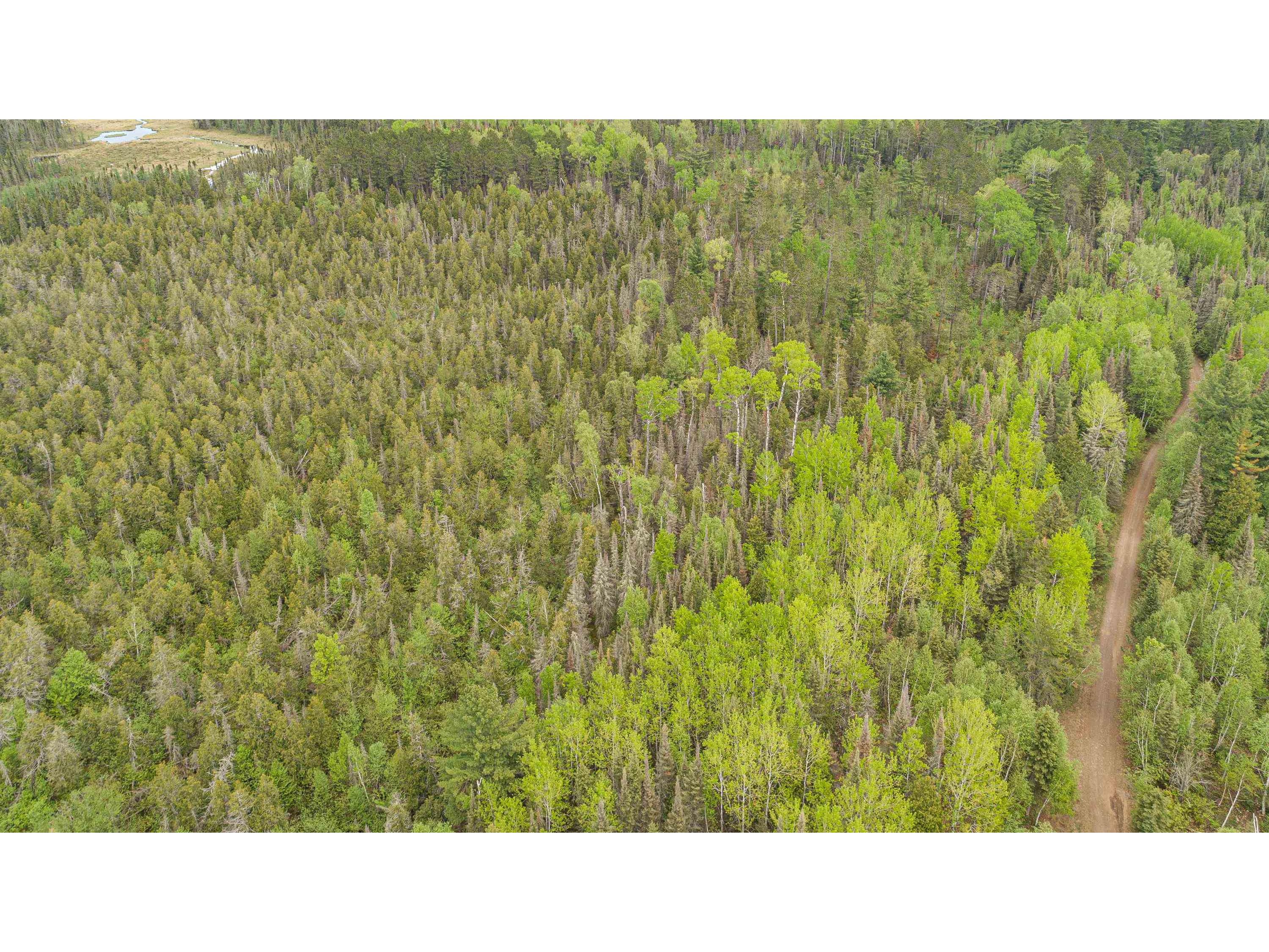 TBD Victor Lake Rd Isabella MN 55607 - Victor 6123597 image12