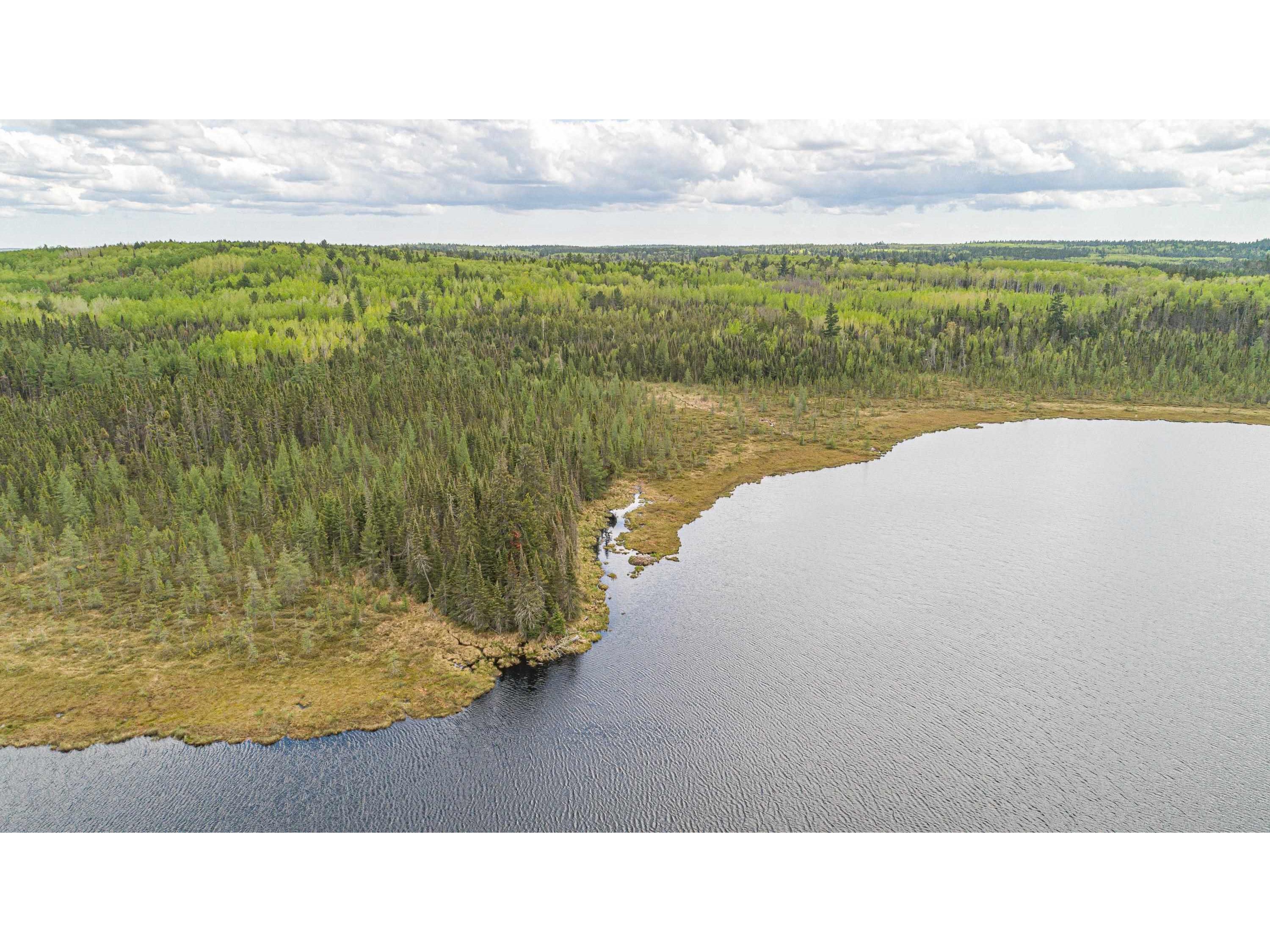 TBD Victor Lake Rd Isabella MN 55607 - Victor 6123597 image16