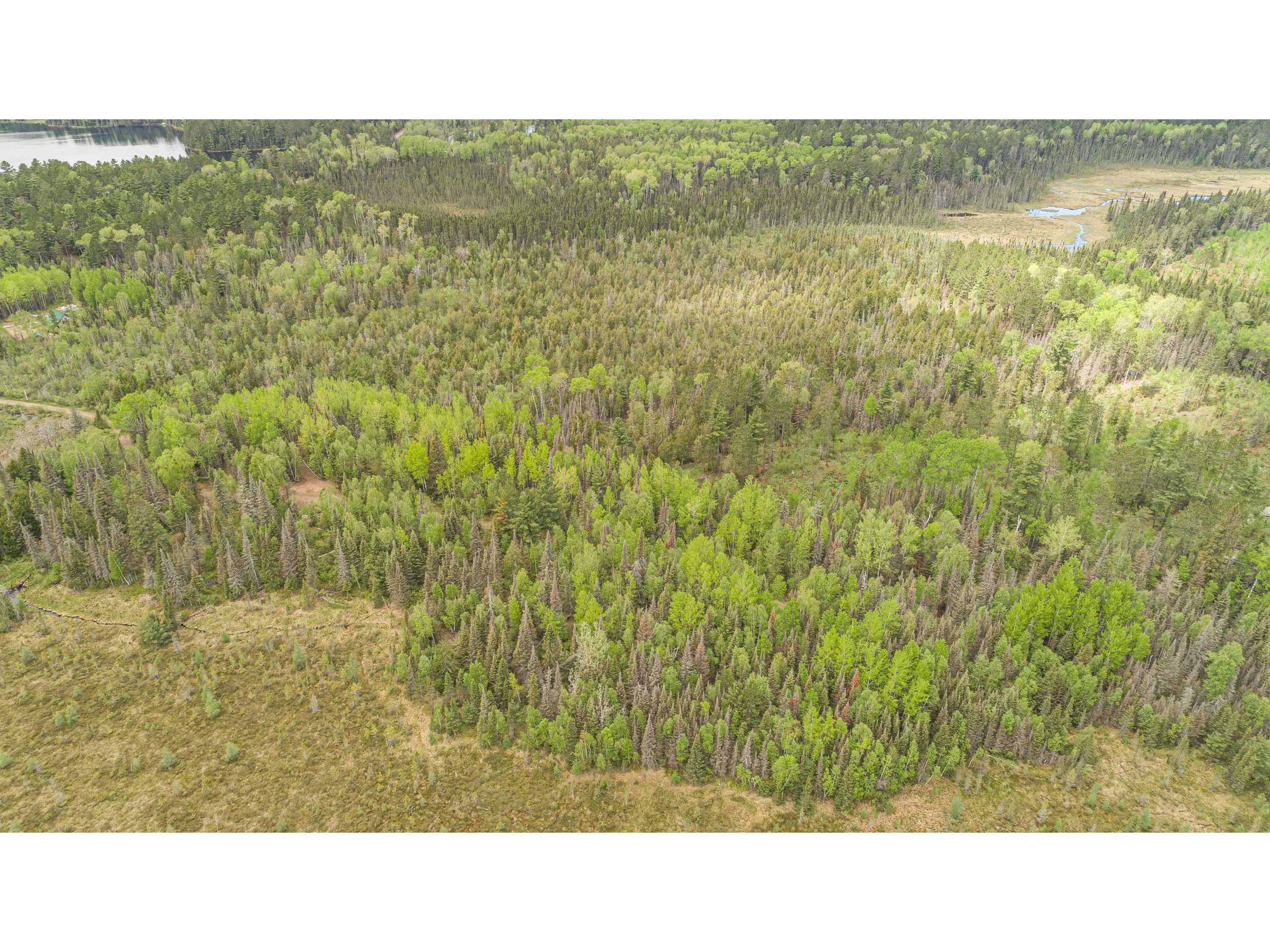 TBD Victor Lake Rd Isabella MN 55607 - Victor 6123597 image20