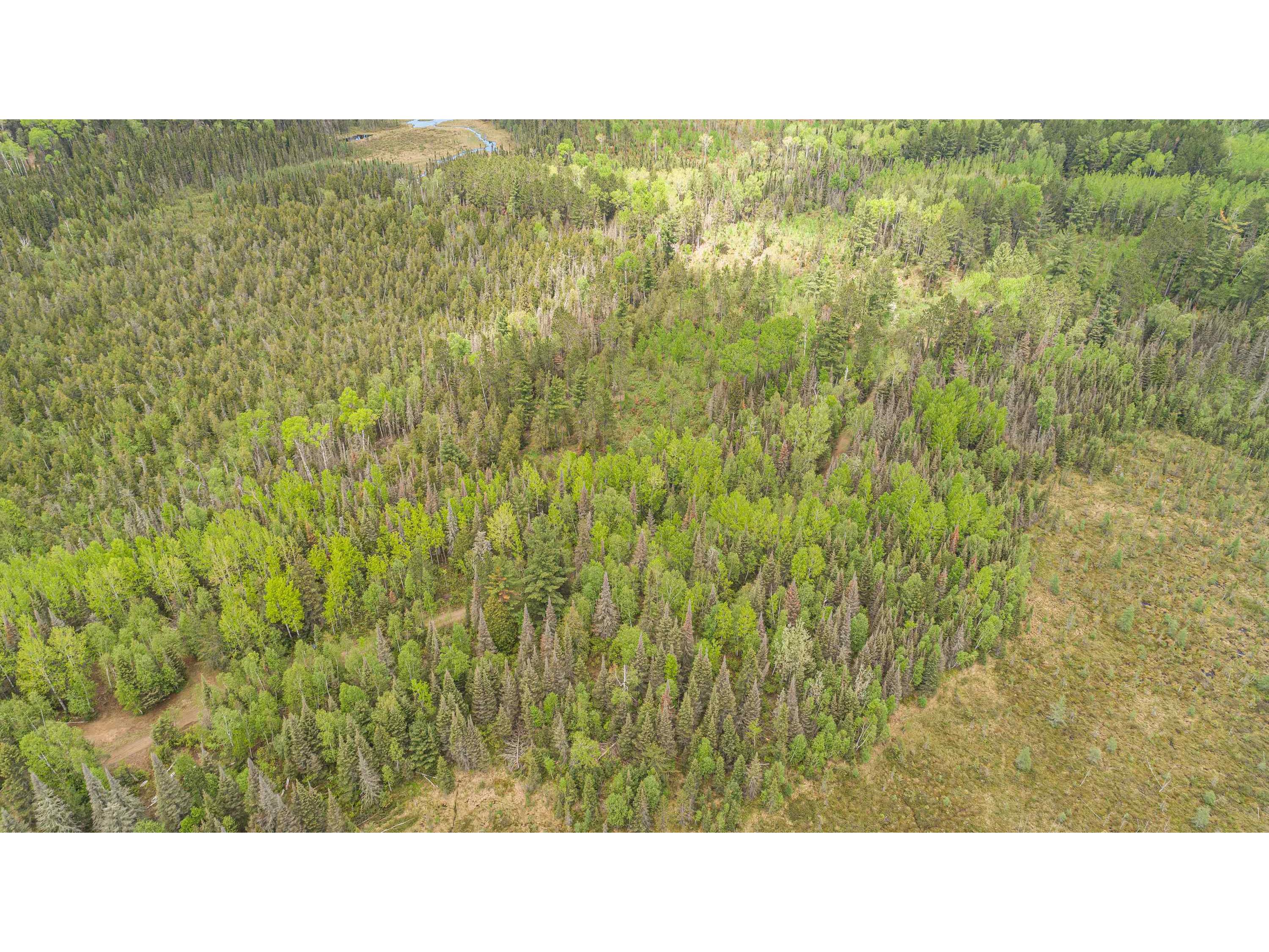 TBD Victor Lake Rd Isabella MN 55607 - Victor 6123597 image21